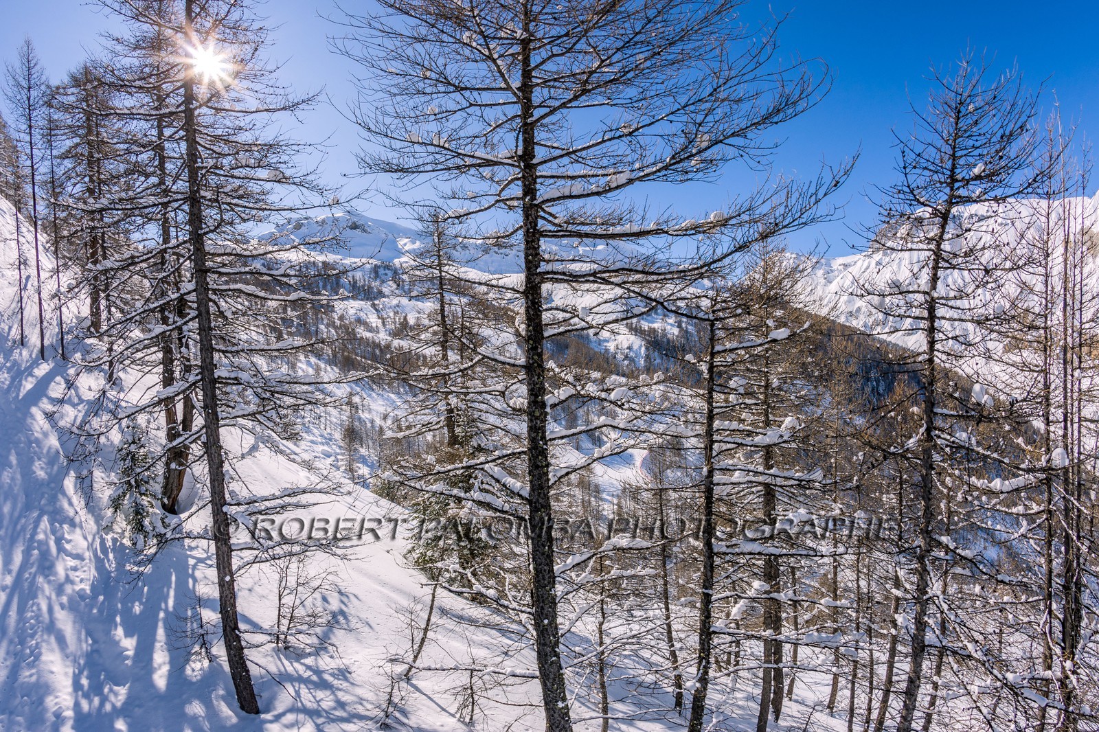 Auron