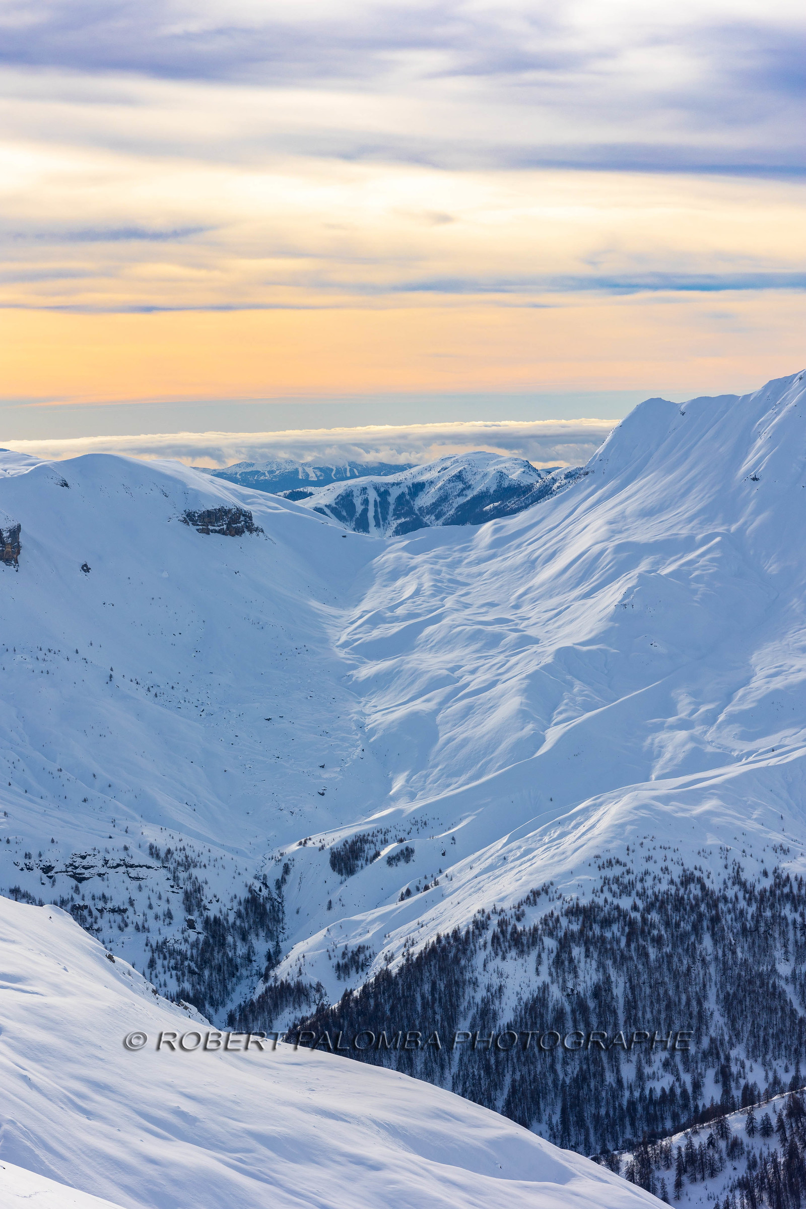 Auron