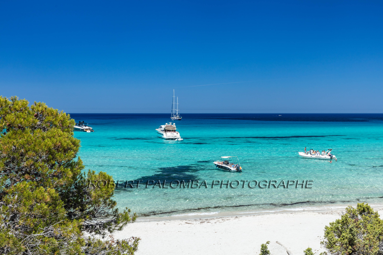 Saleccia