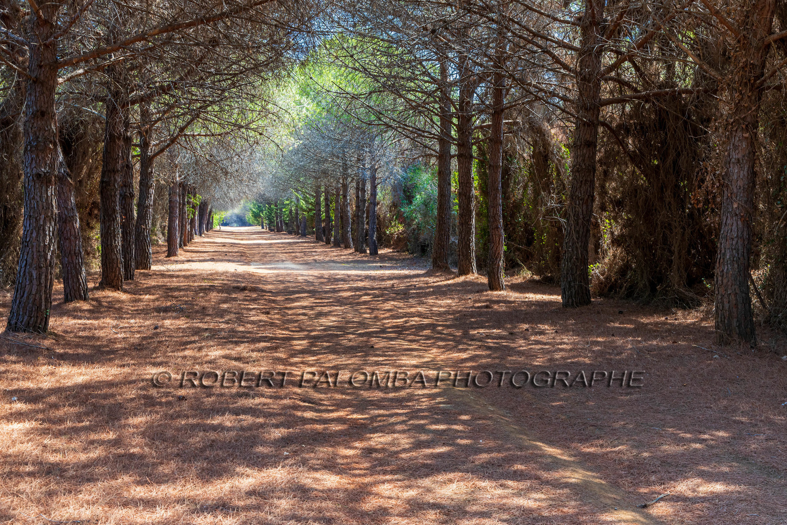 Lérins Sainte-Marguerite 2023