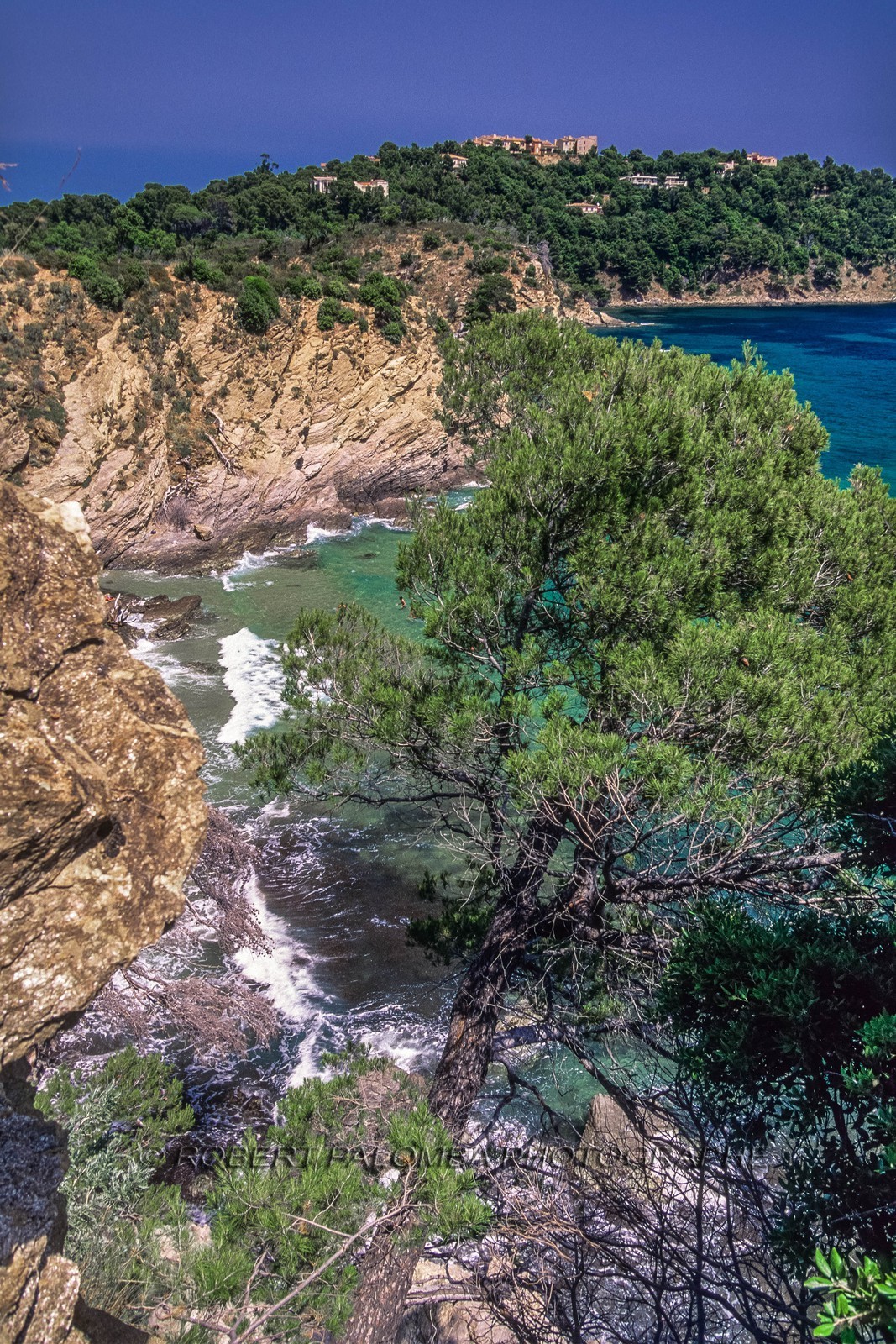 Cavalaire