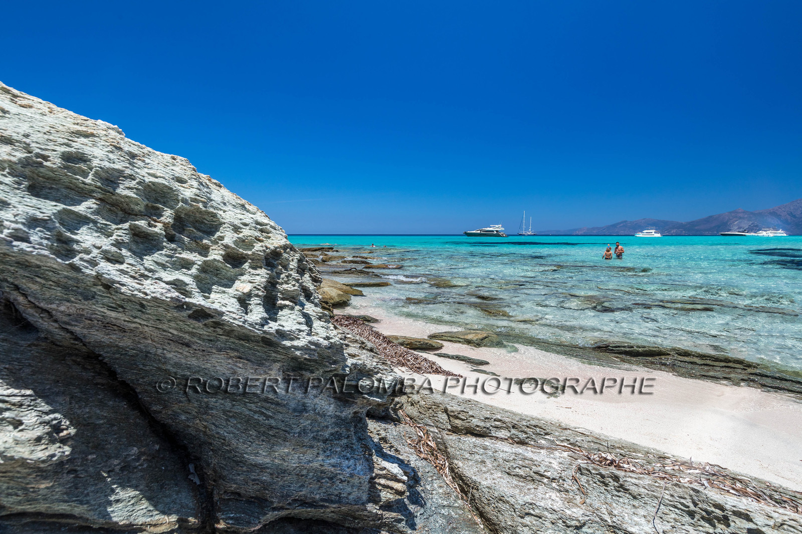 Saleccia