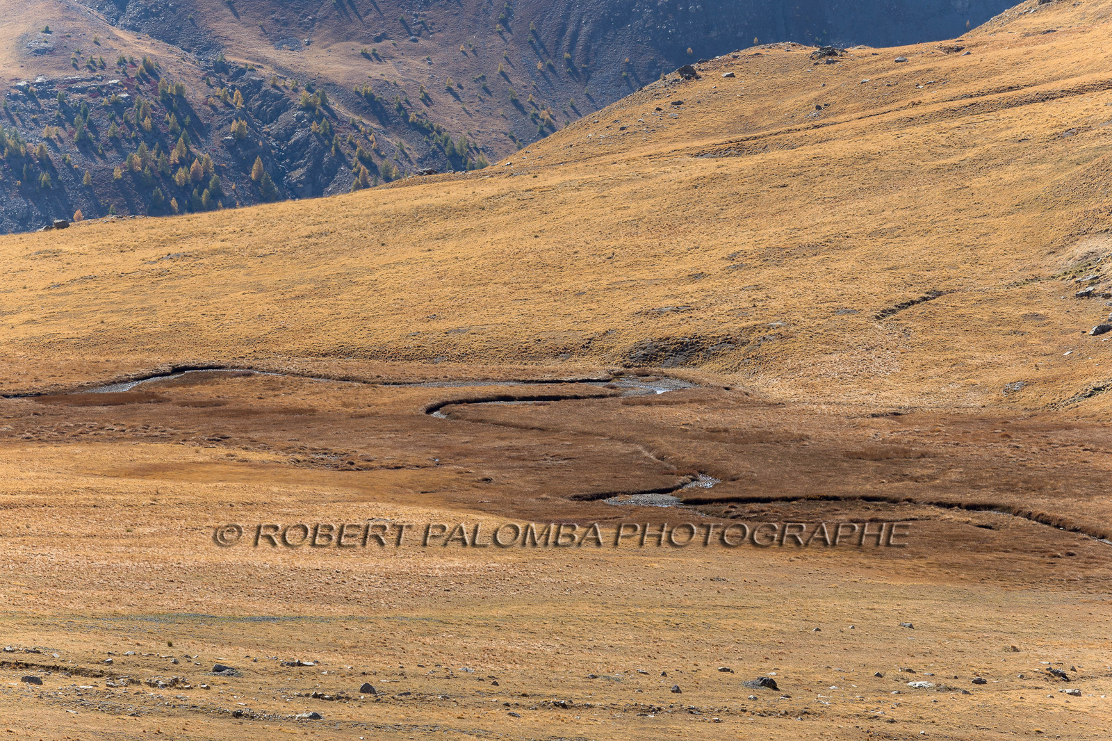 Col de la Moutière