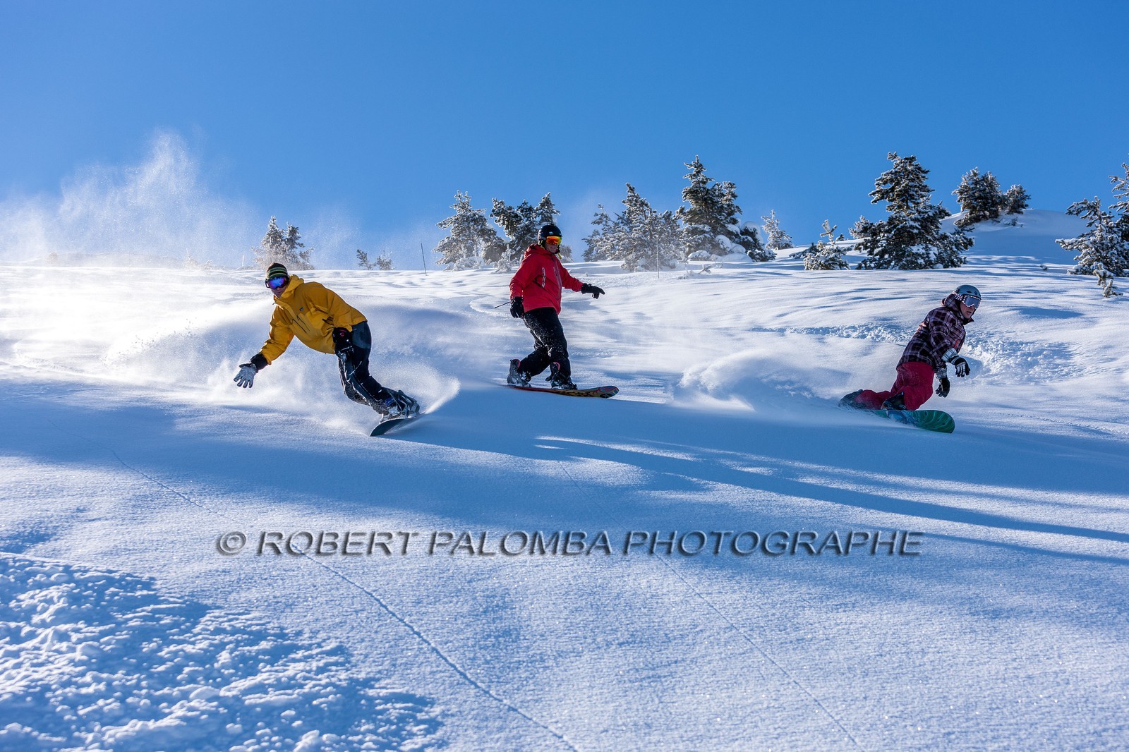 Snowboard
