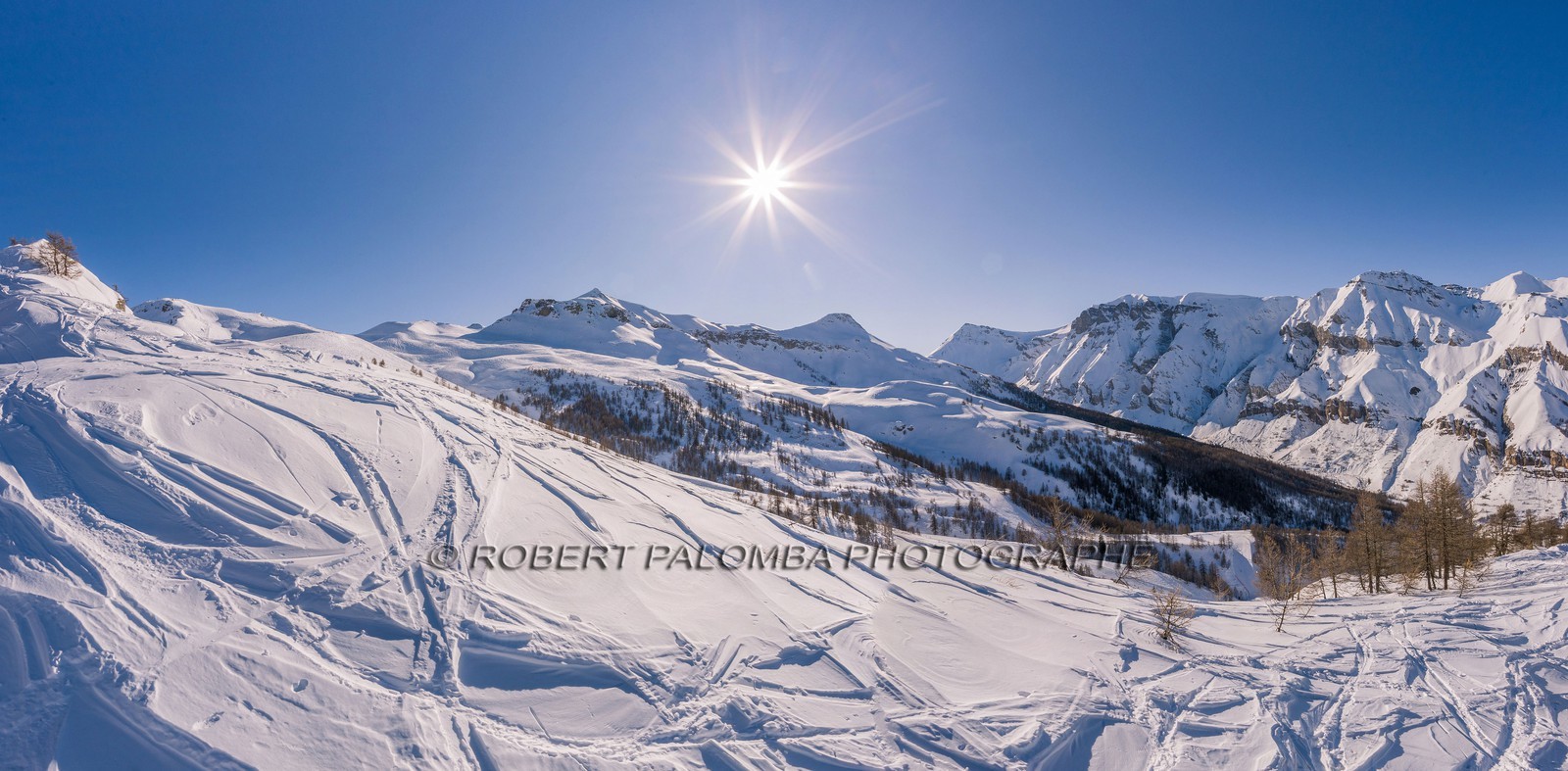 Auron