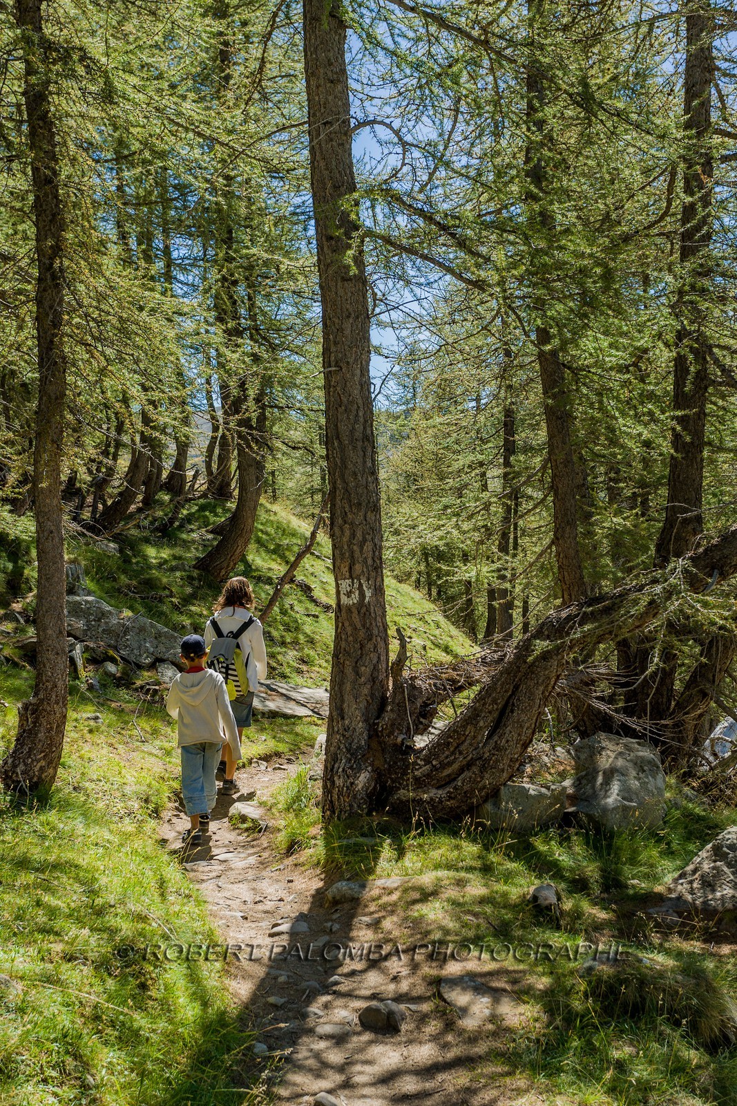 Col de la Petite Cayolle Col de la Petite Cayolle