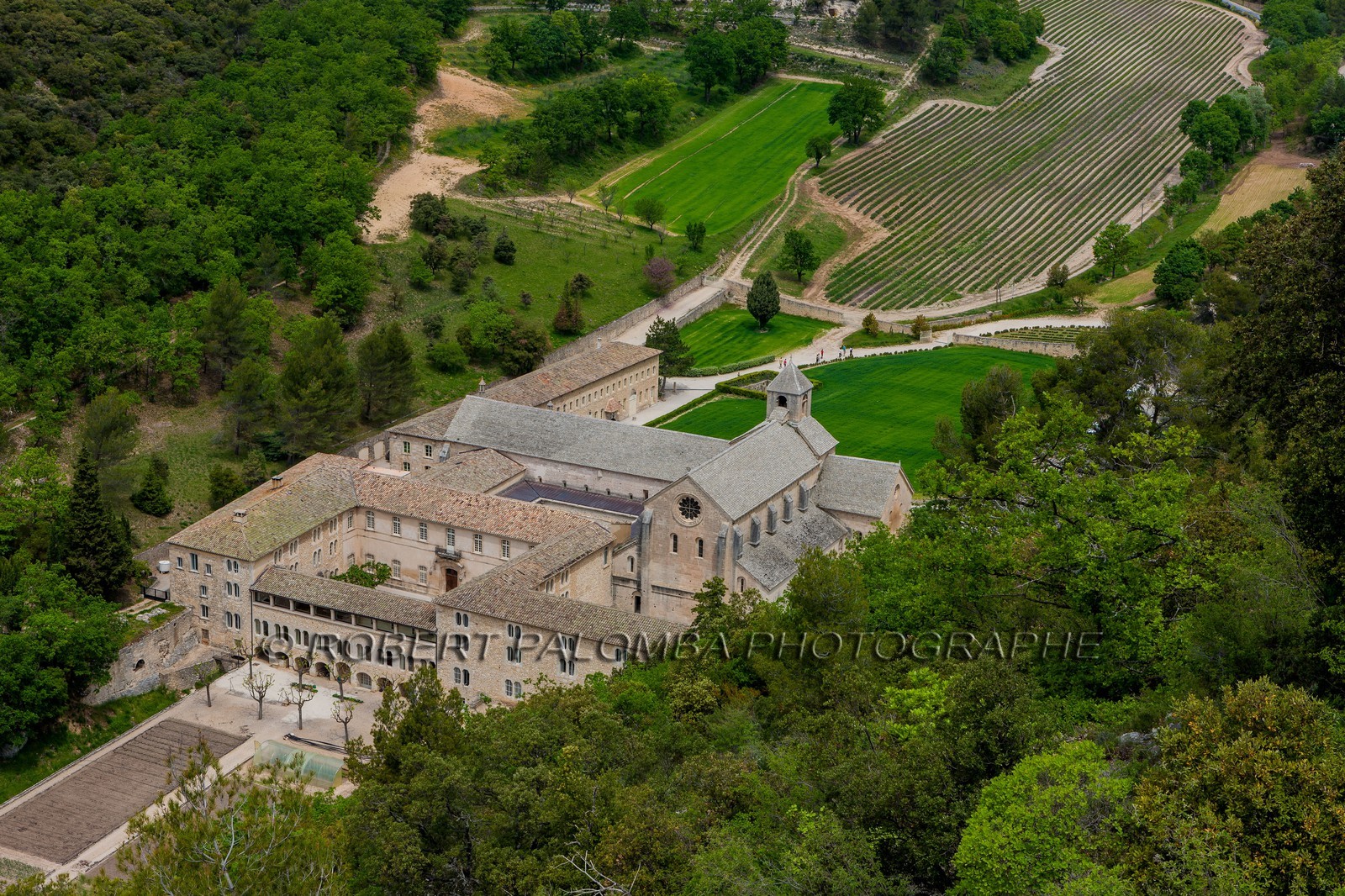 Abbaye de Sénanque