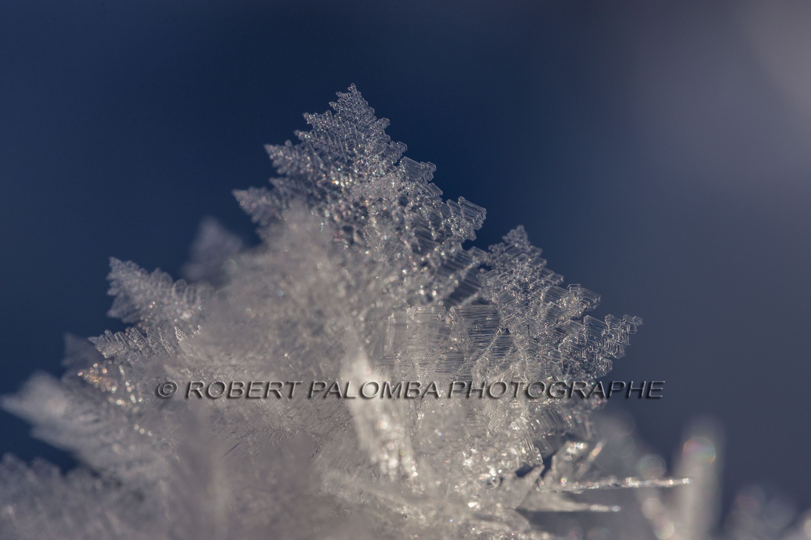 Cristaux de neige