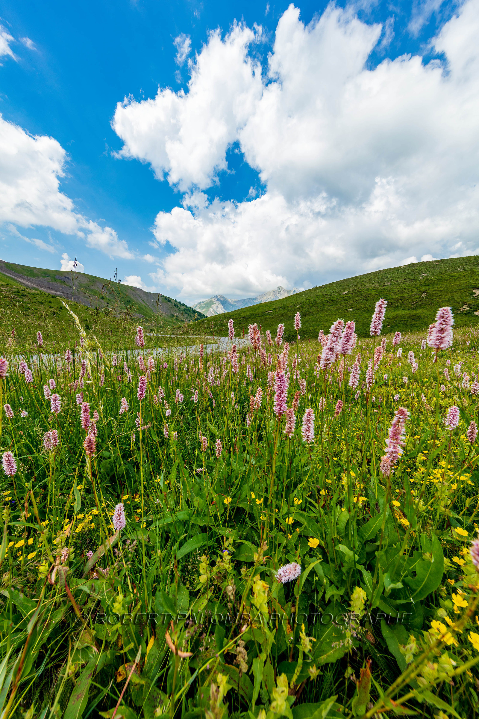 Col d'Allos
