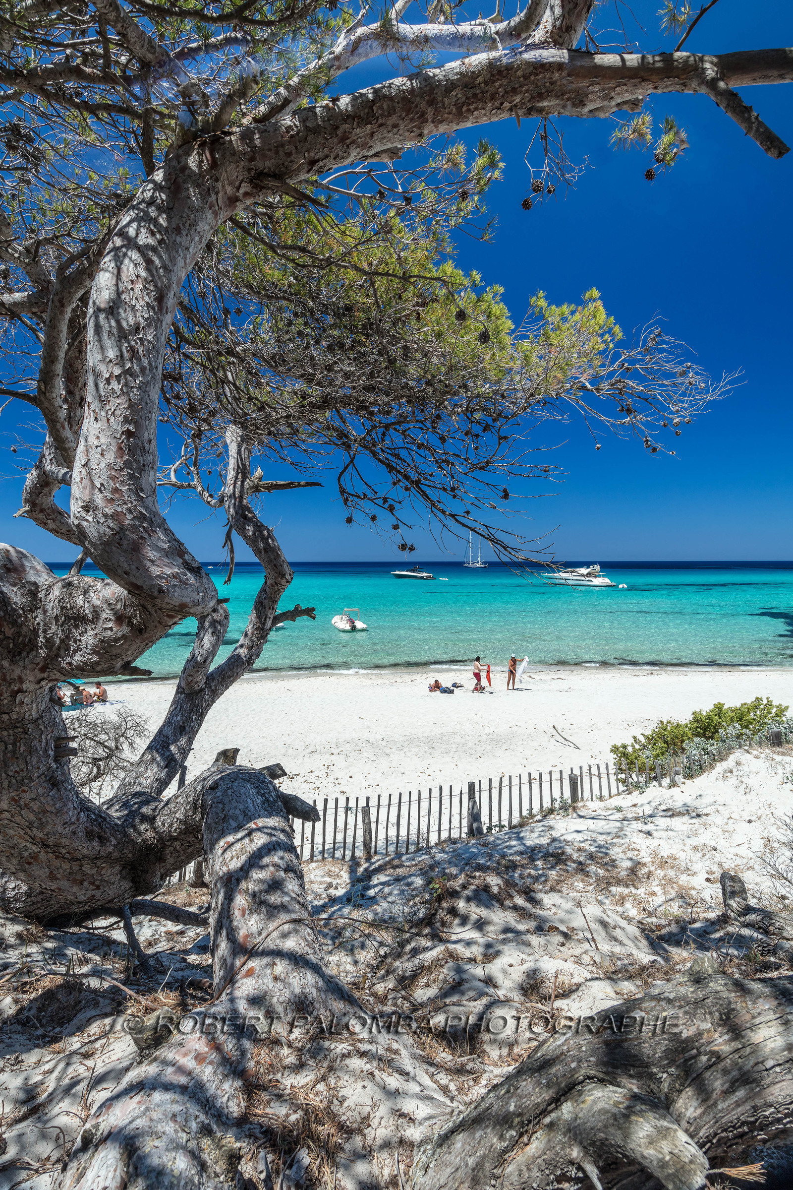 Saleccia