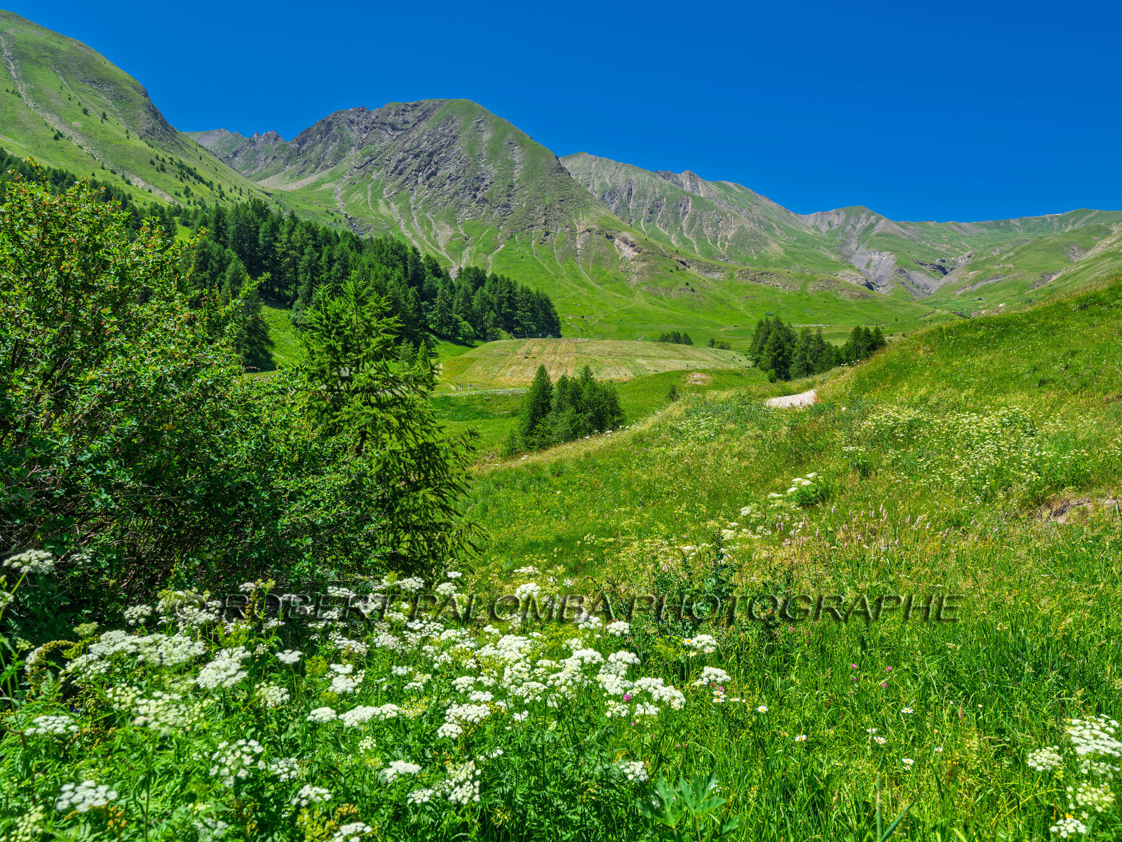 La Foux d'Allos