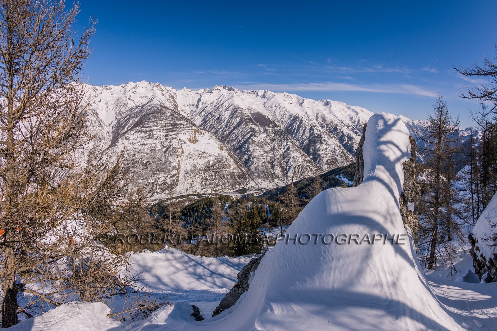 Auron