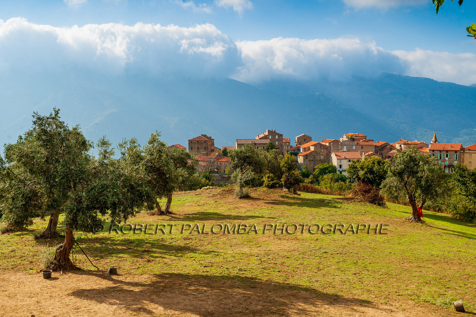Sainte-Lucie-de-Tallano