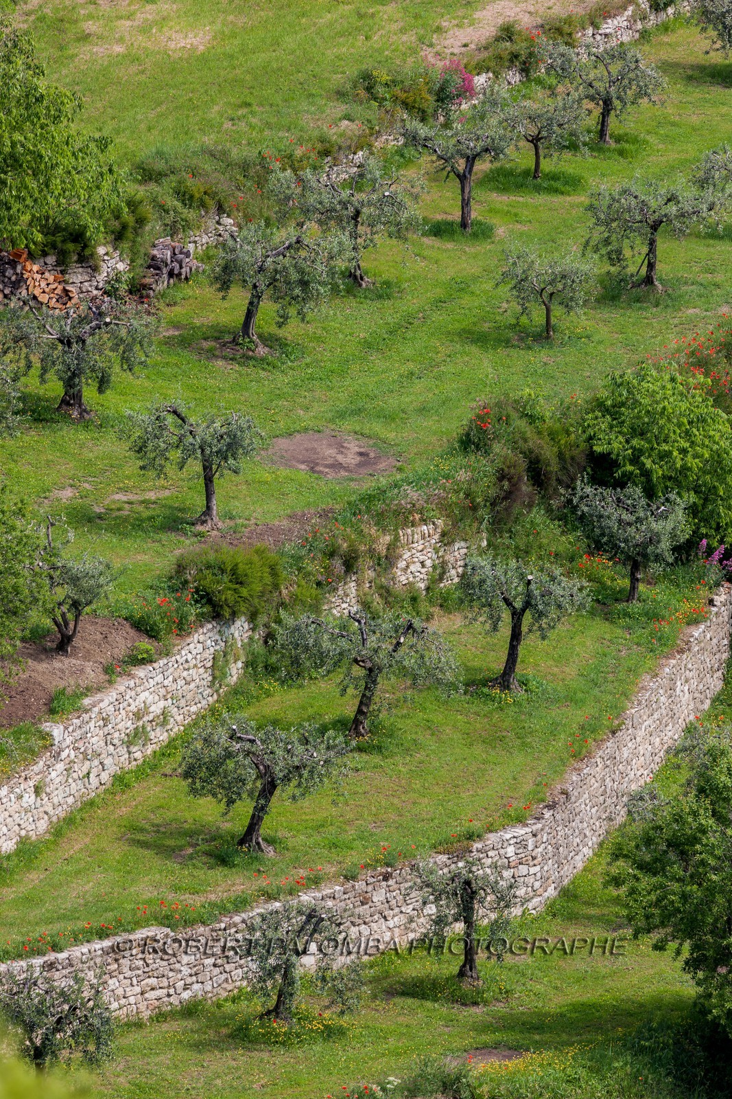 Oppède-le-Vieux Oppède-le-Vieux