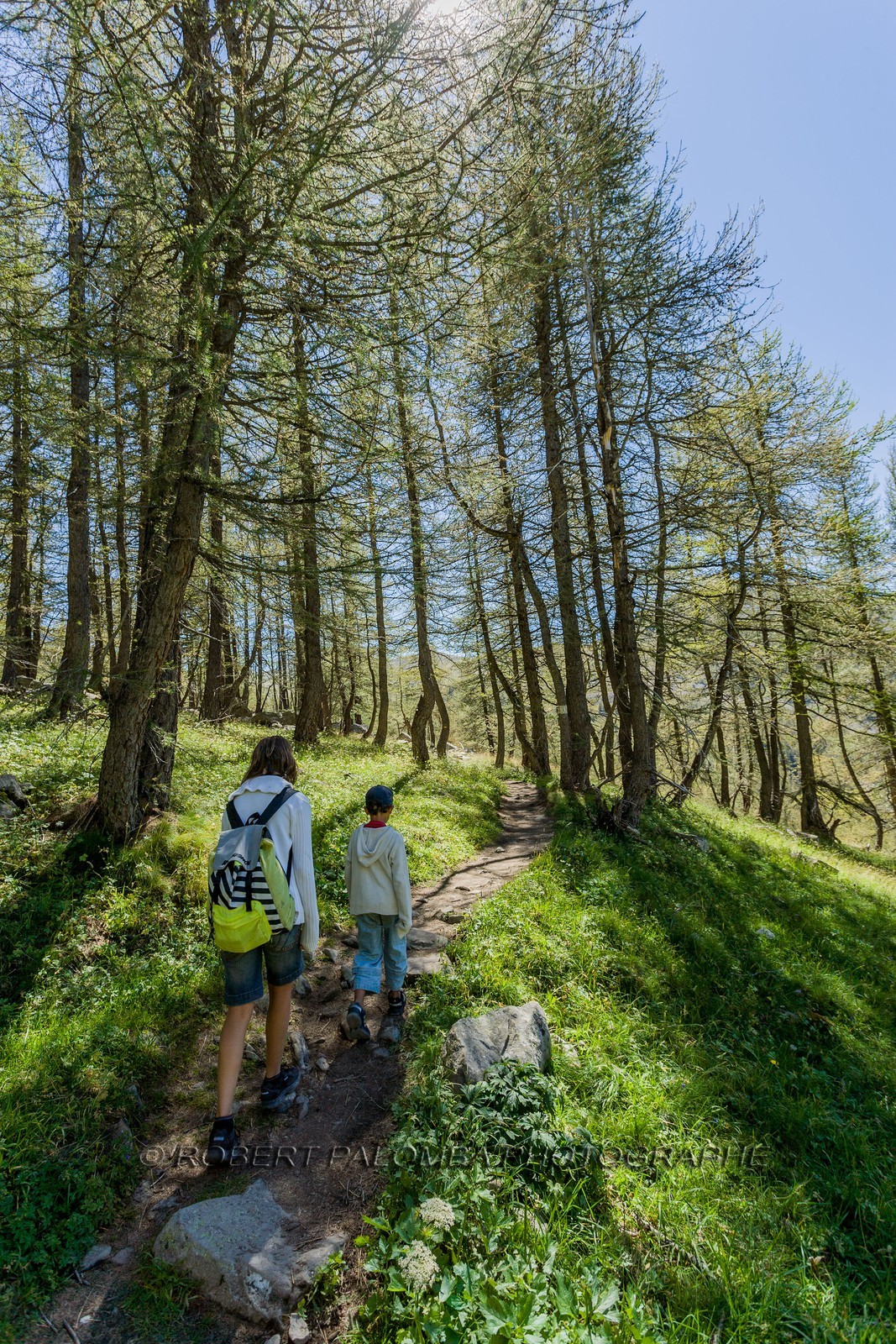 Col de la Petite Cayolle Col de la Petite Cayolle