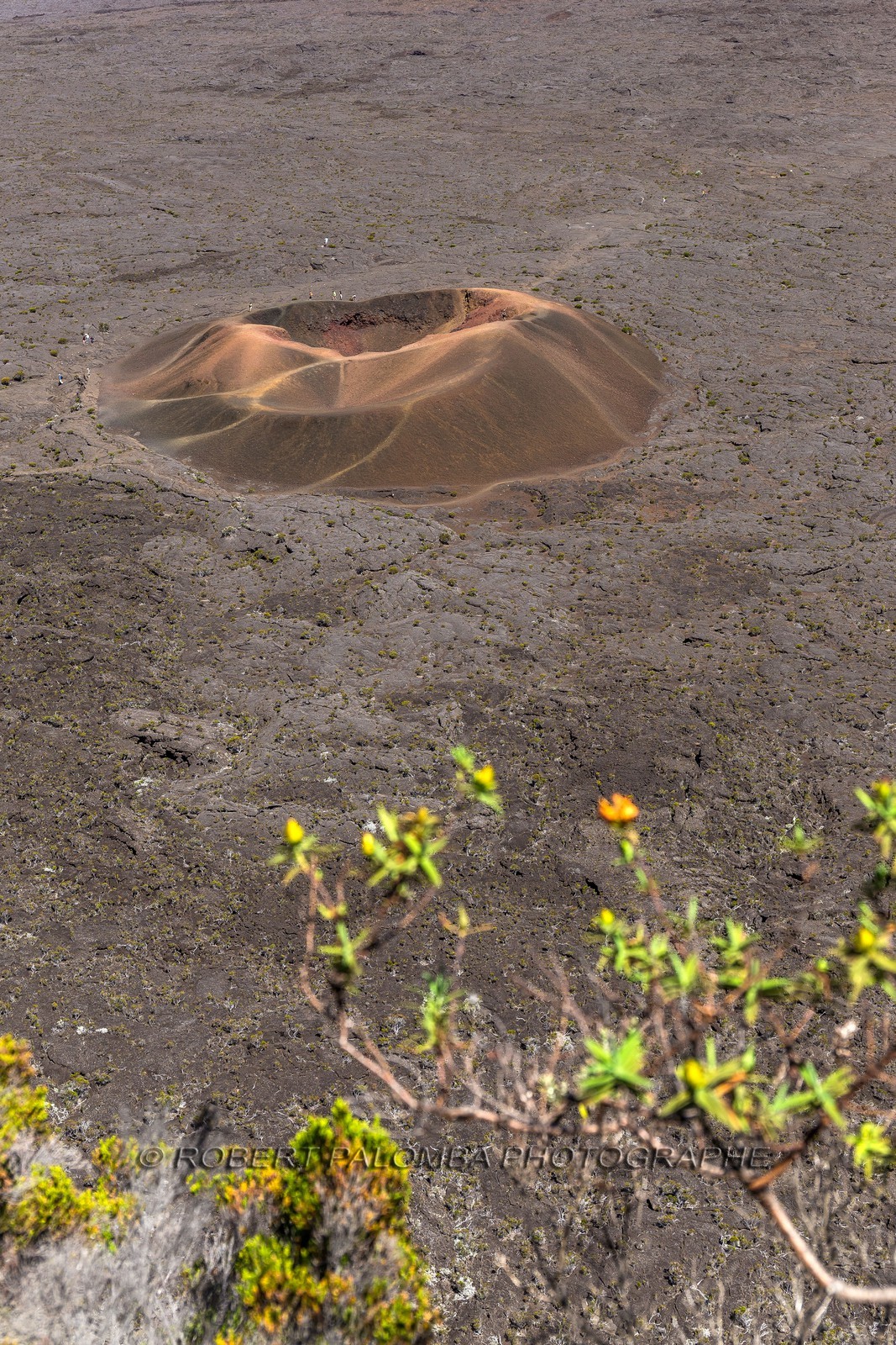 Ile de La Réunion