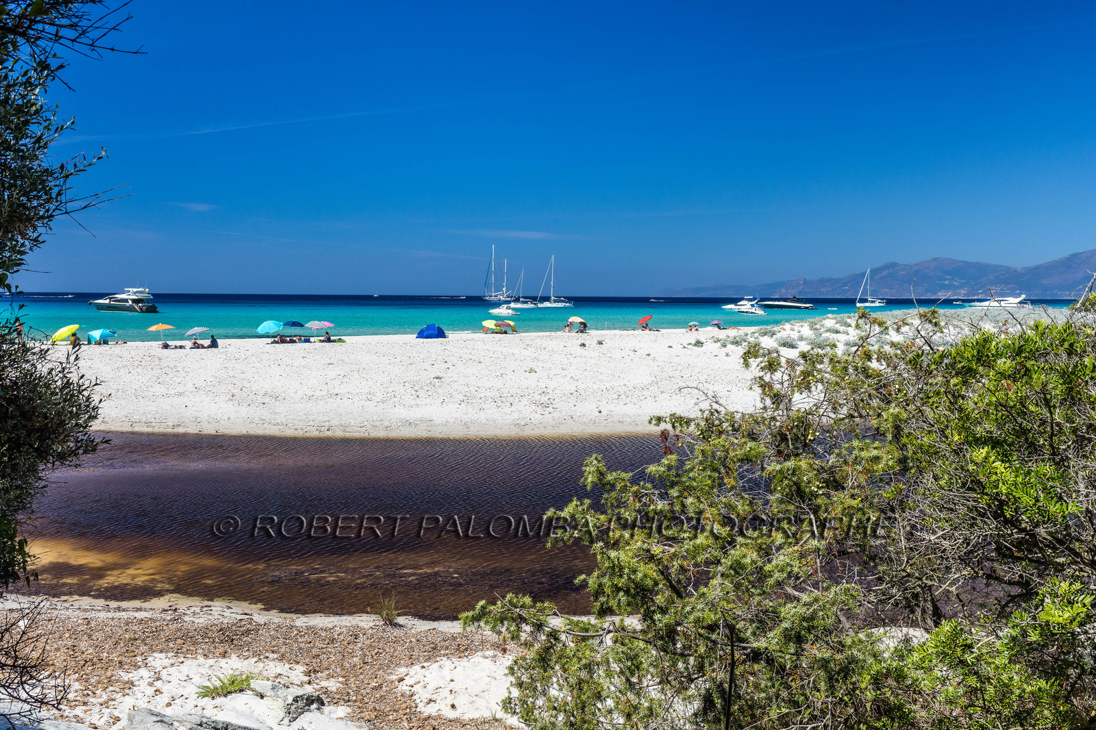 Saleccia