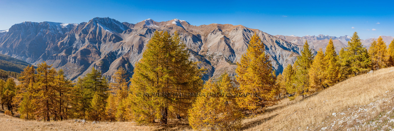 Auron