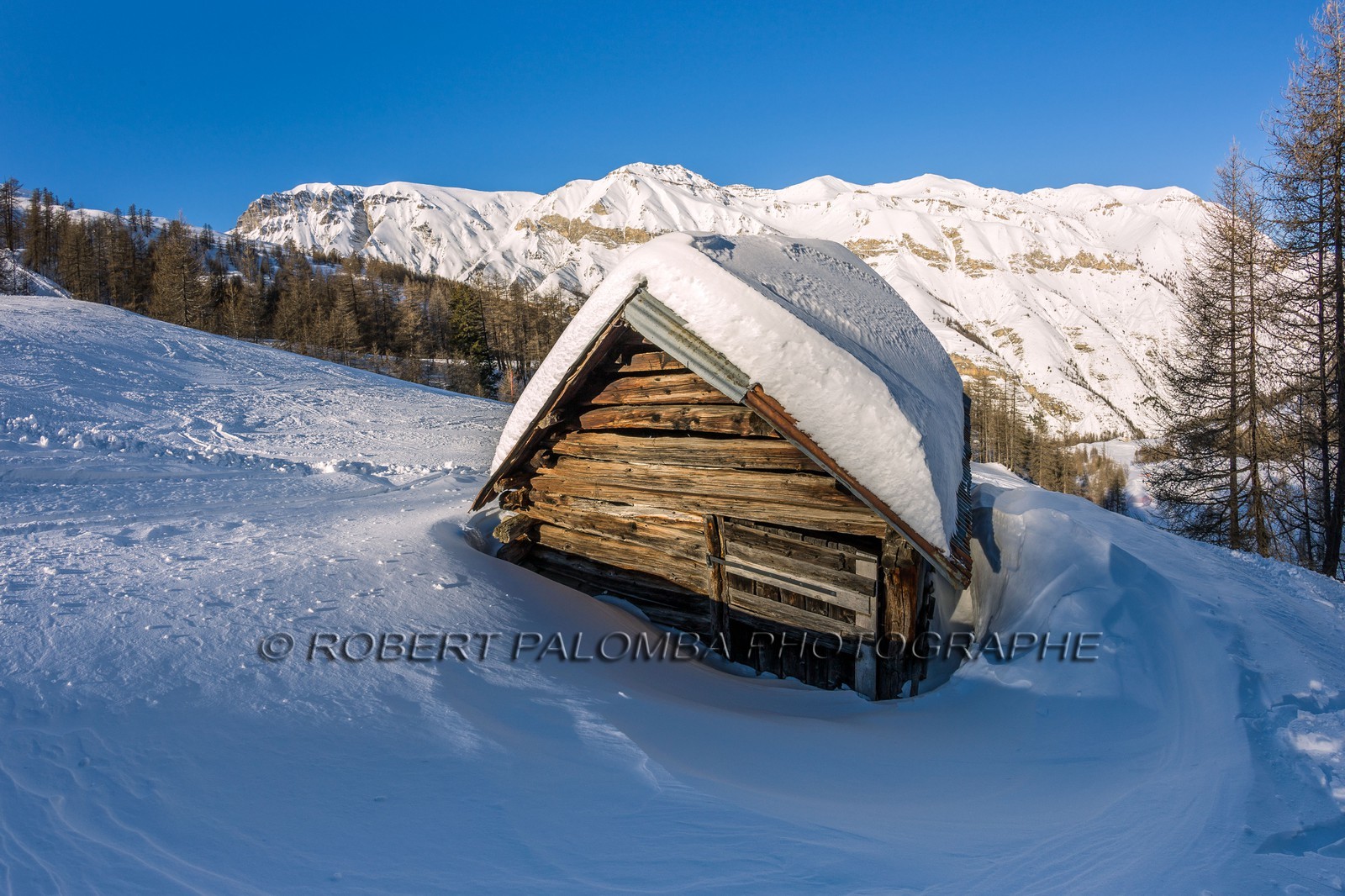 Auron