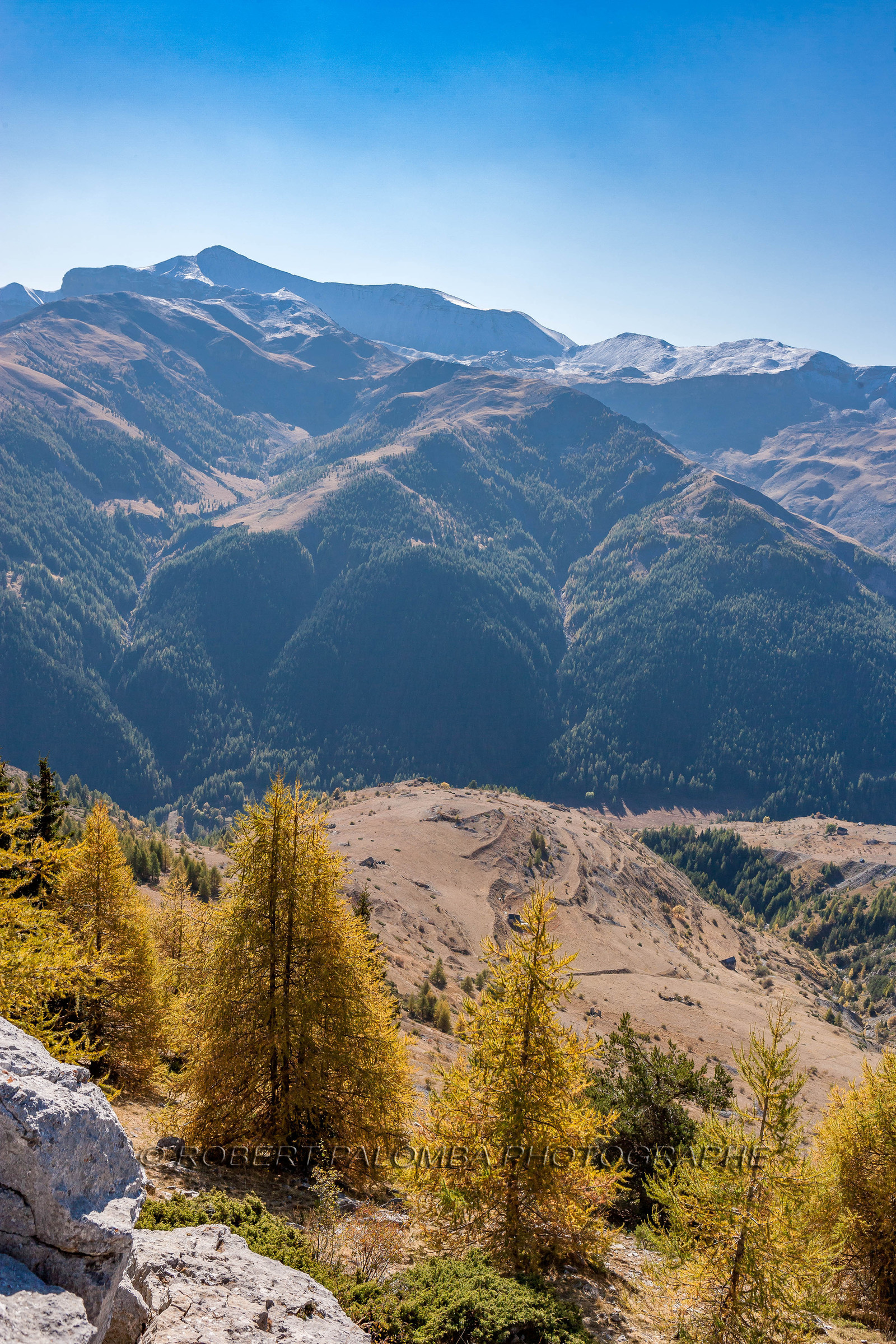 Auron