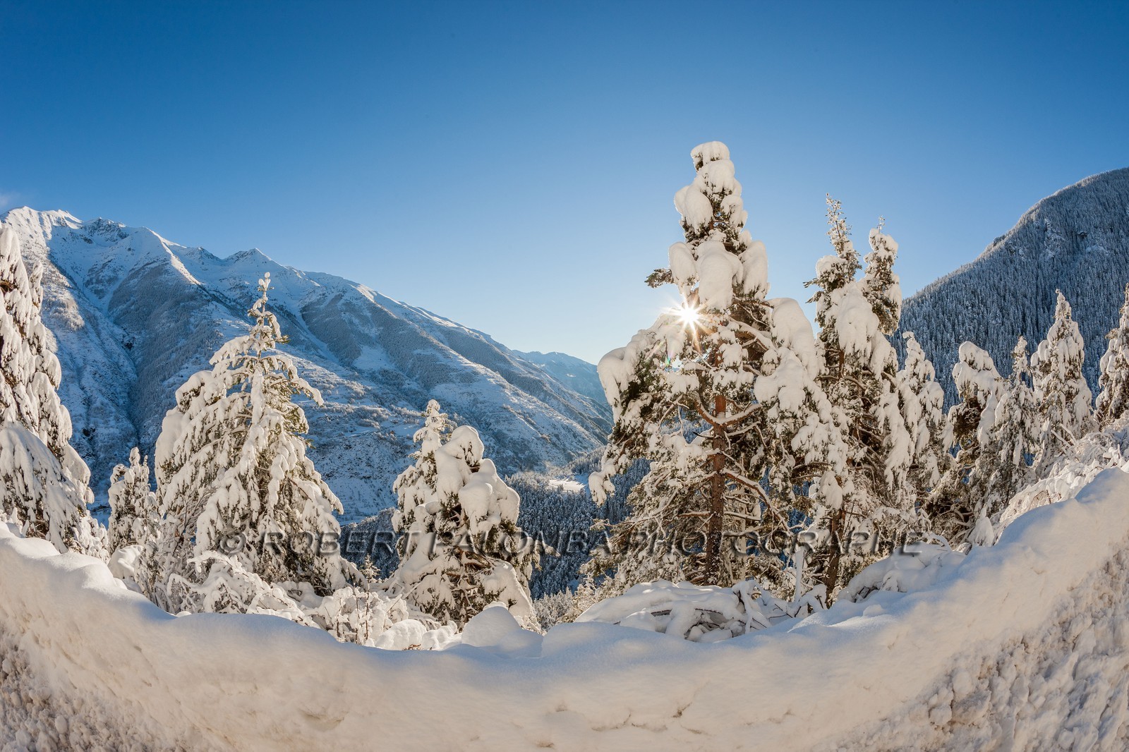 Auron