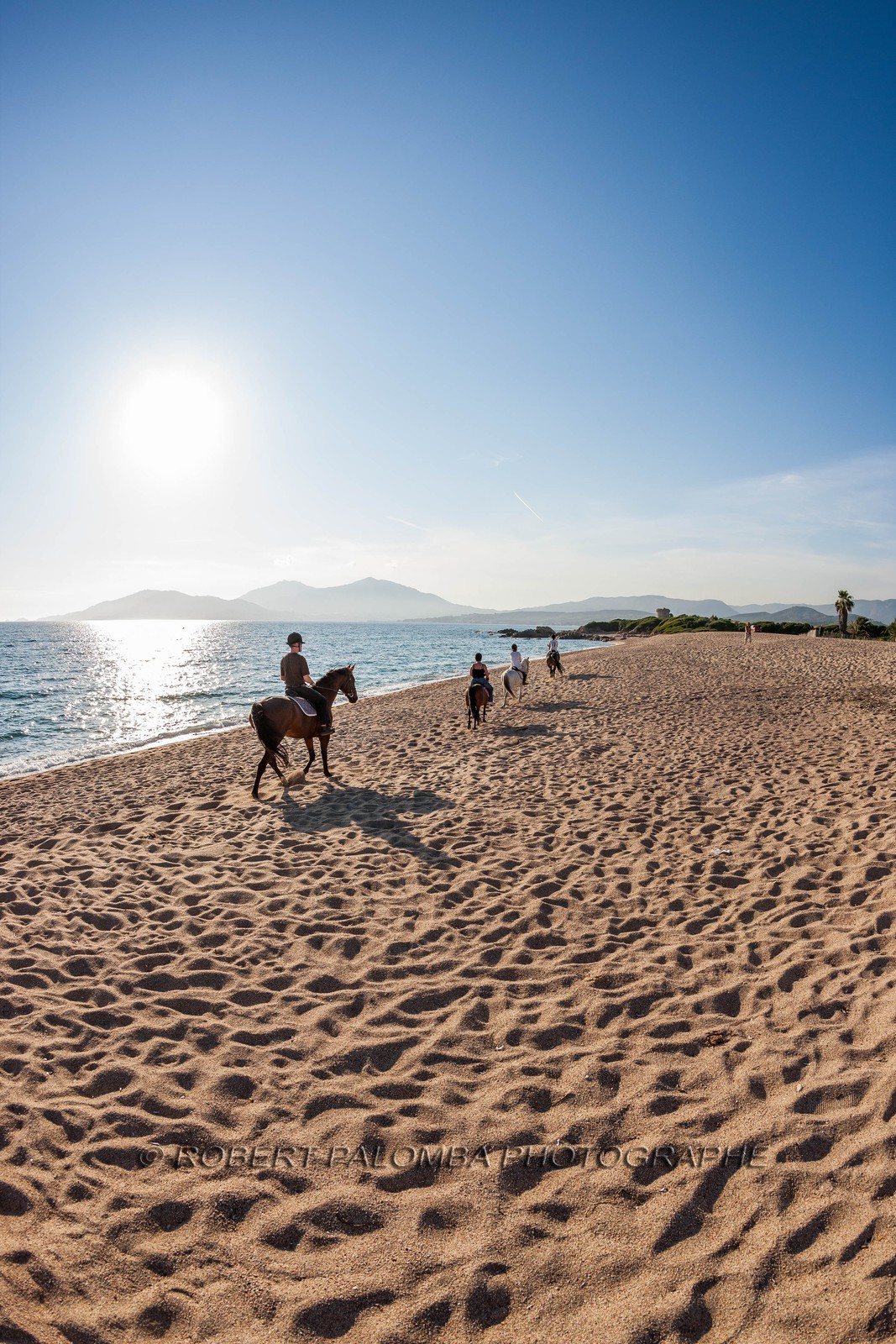Cheval sur la plage de Porticcio