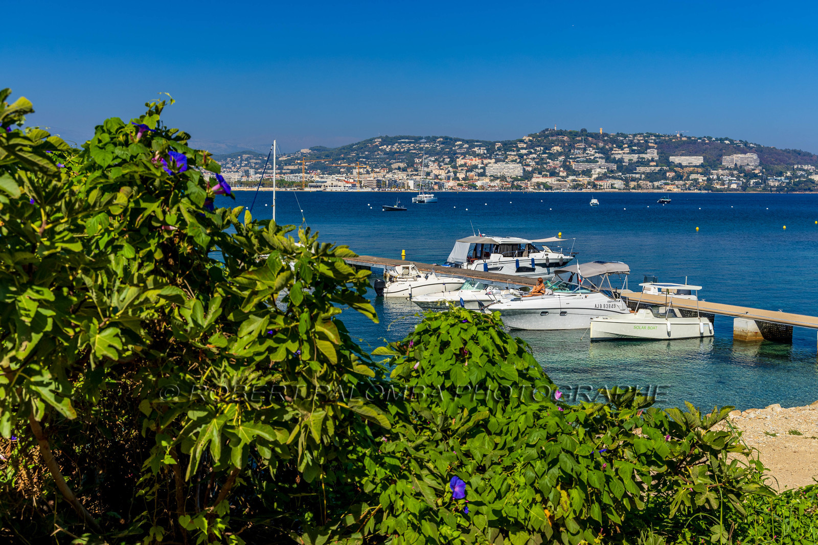 Lérins Sainte-Marguerite 2023