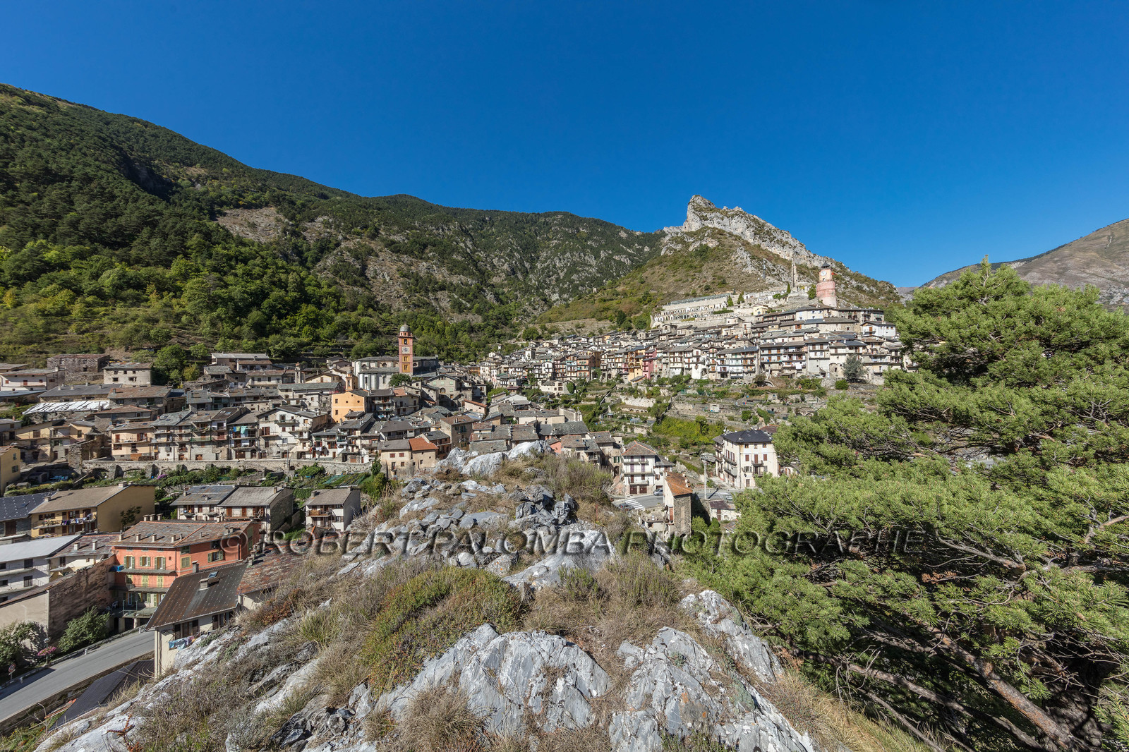 Tende