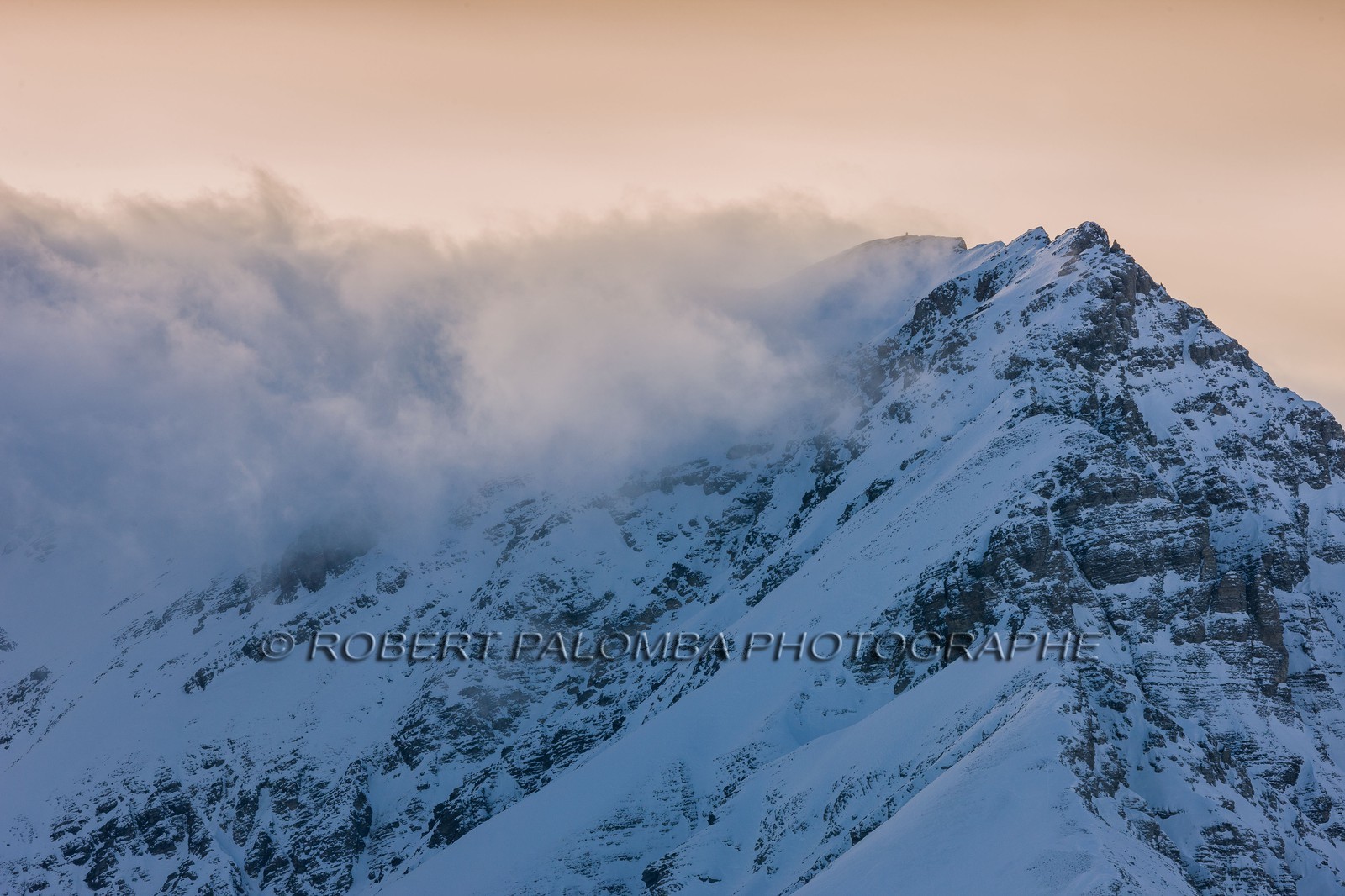 Auron