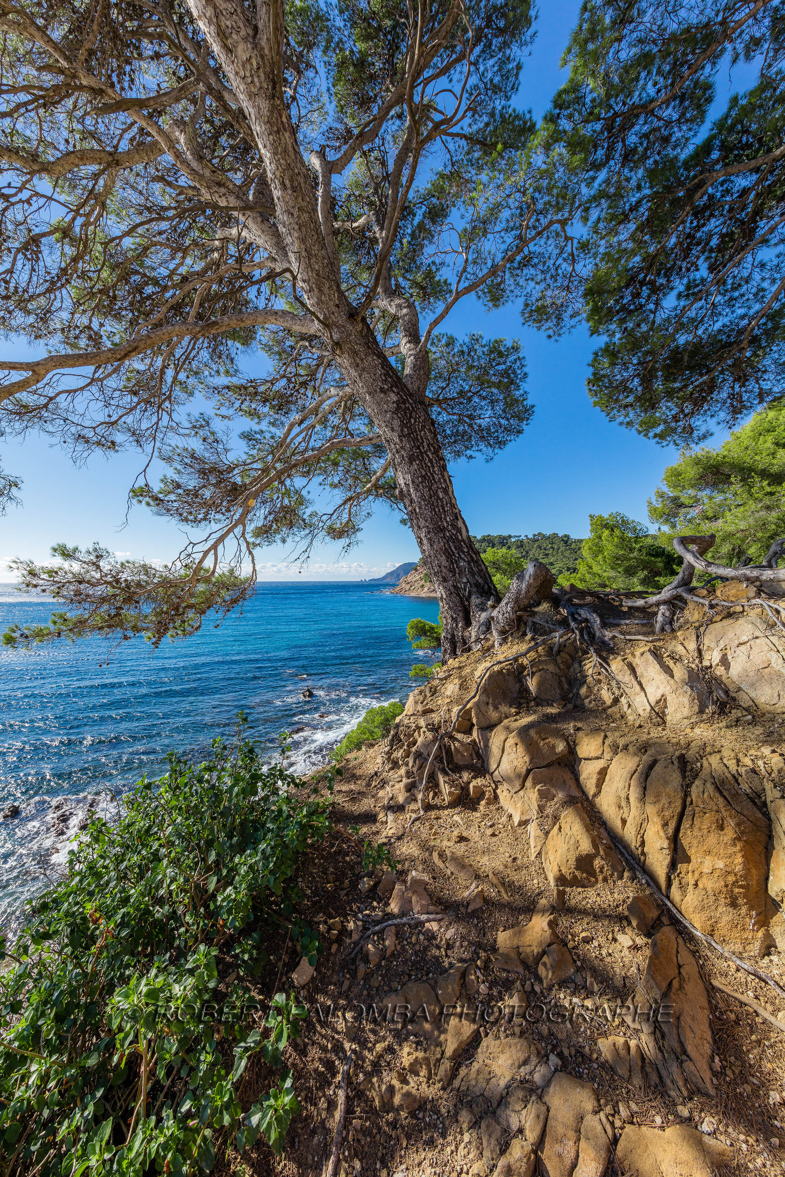 Saint-Mandrier-sur-Mer