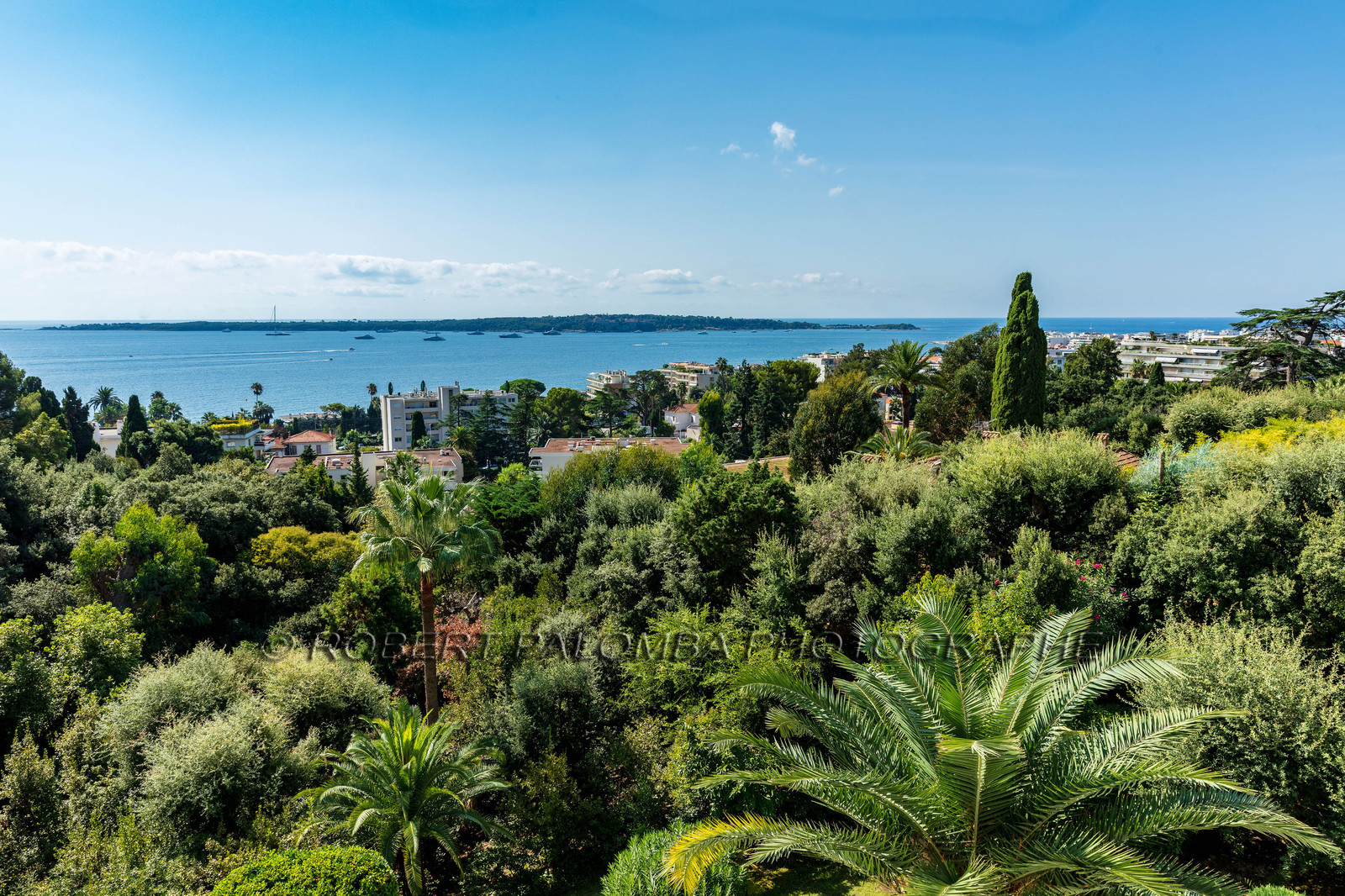 Cannes