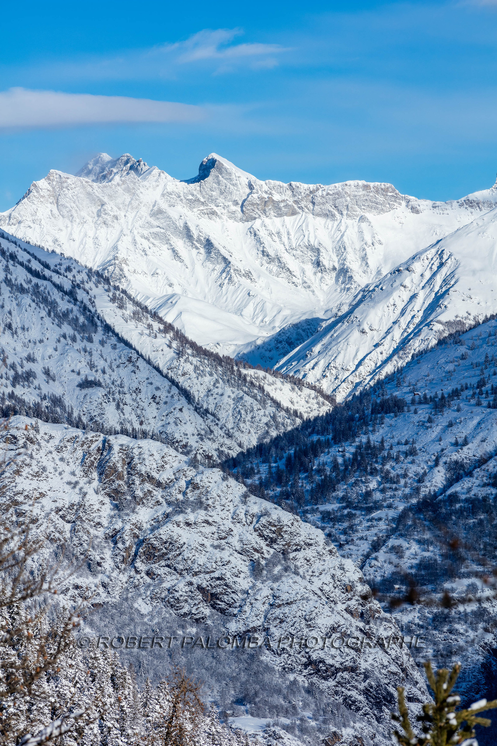 Auron