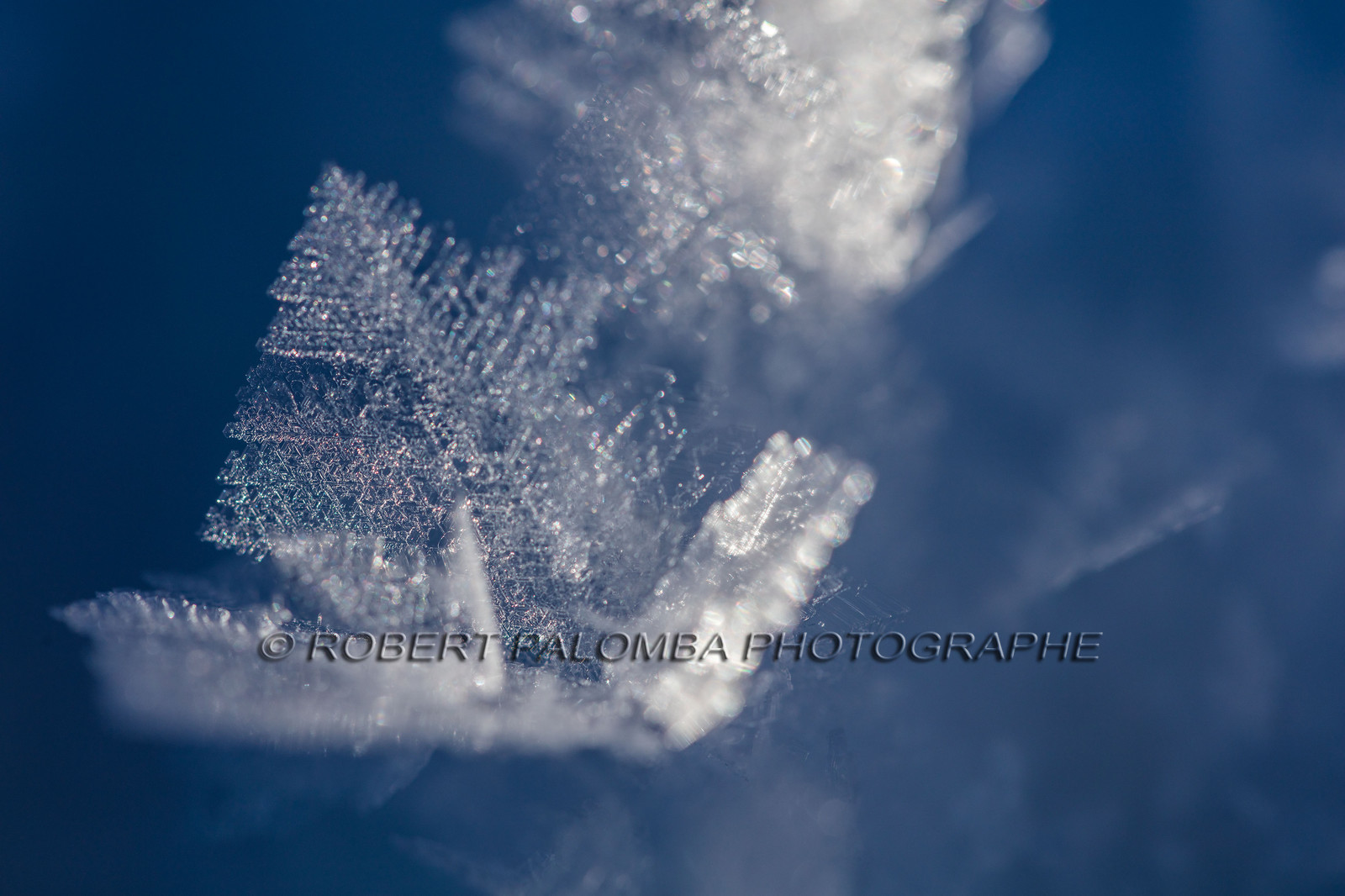 Cristaux de neige
