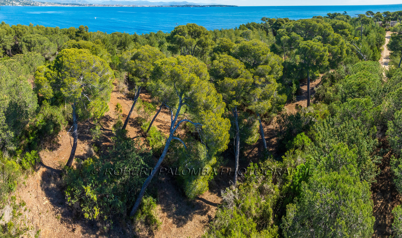 Lérins Sainte-Marguerite 2024