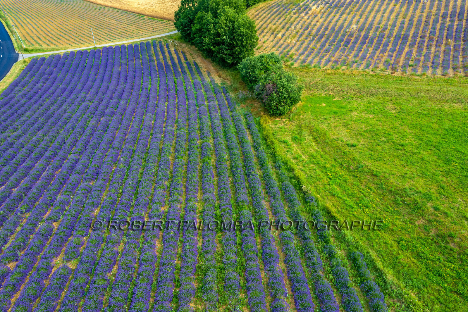 Le Chaffaut-Saint-Jurson