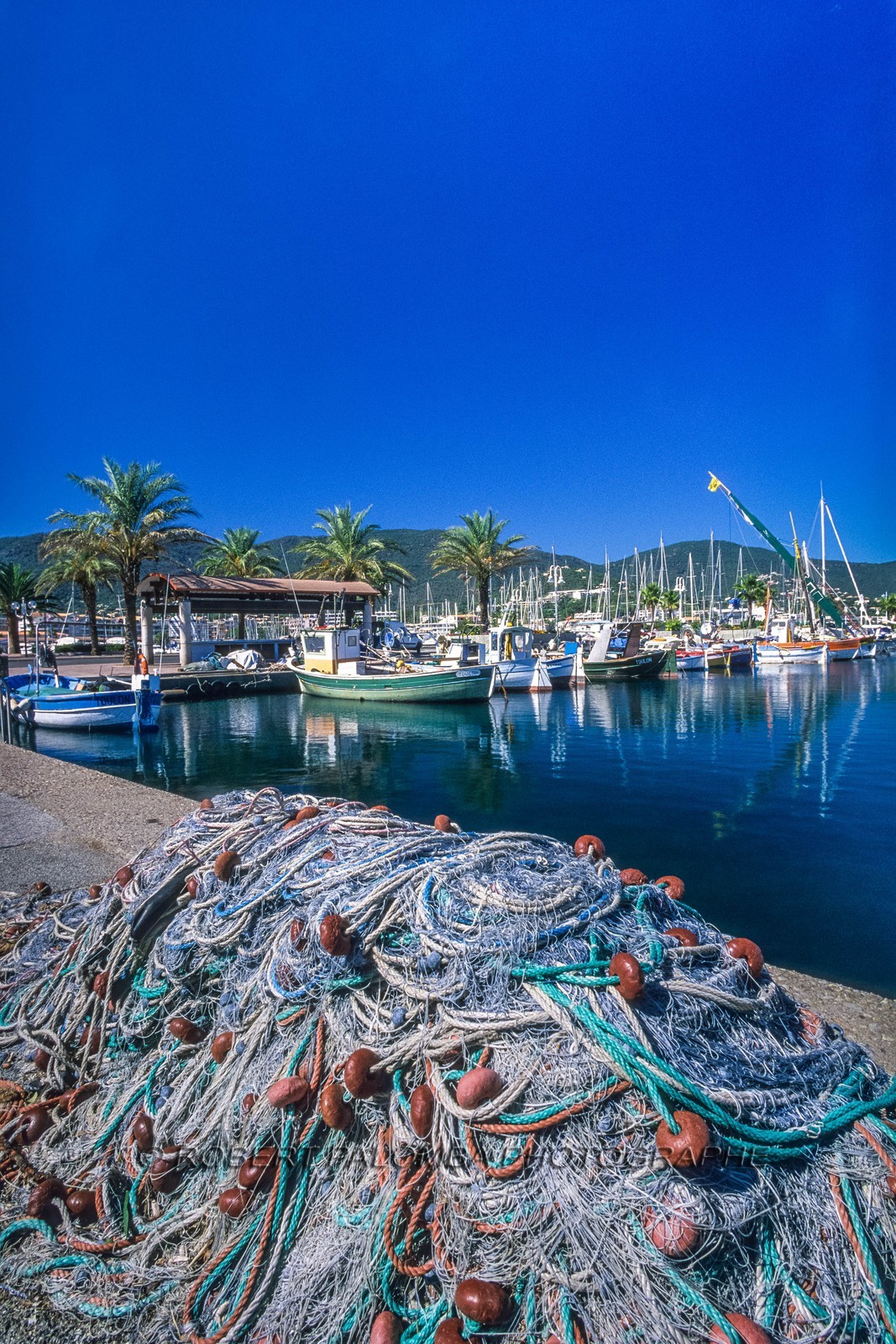 Cavalaire