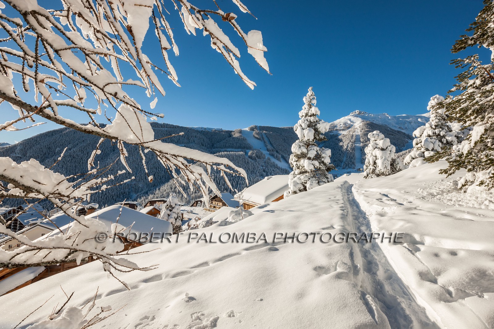 Auron