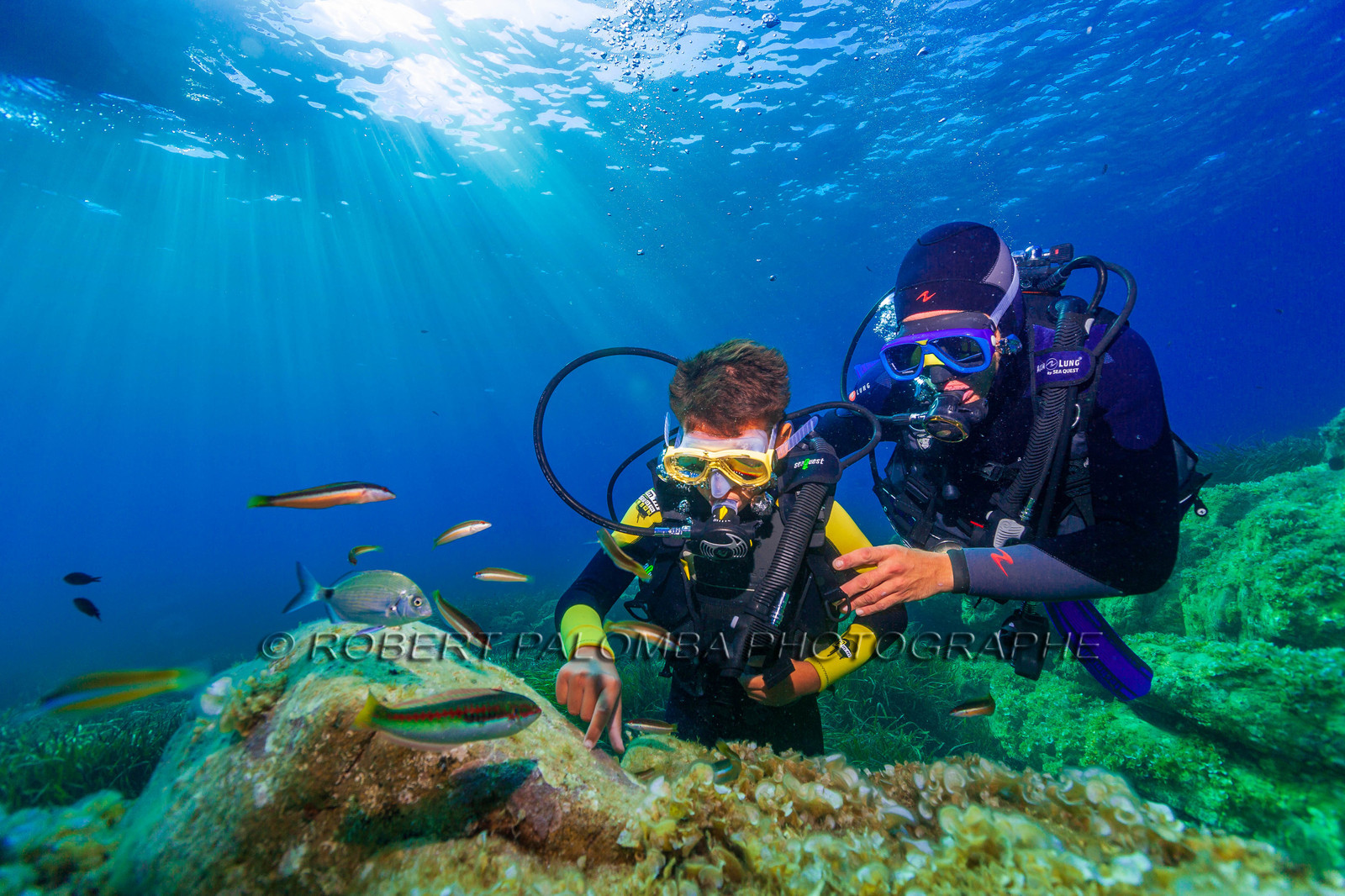 Plongée-sous-marine