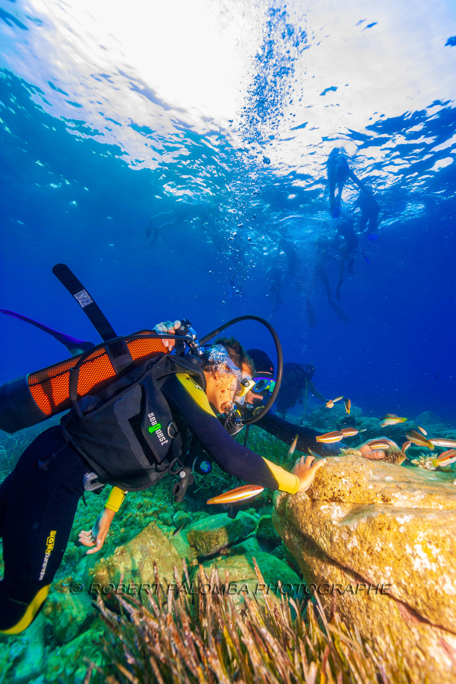 Plongée-sous-marine