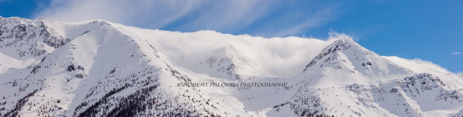 Auron