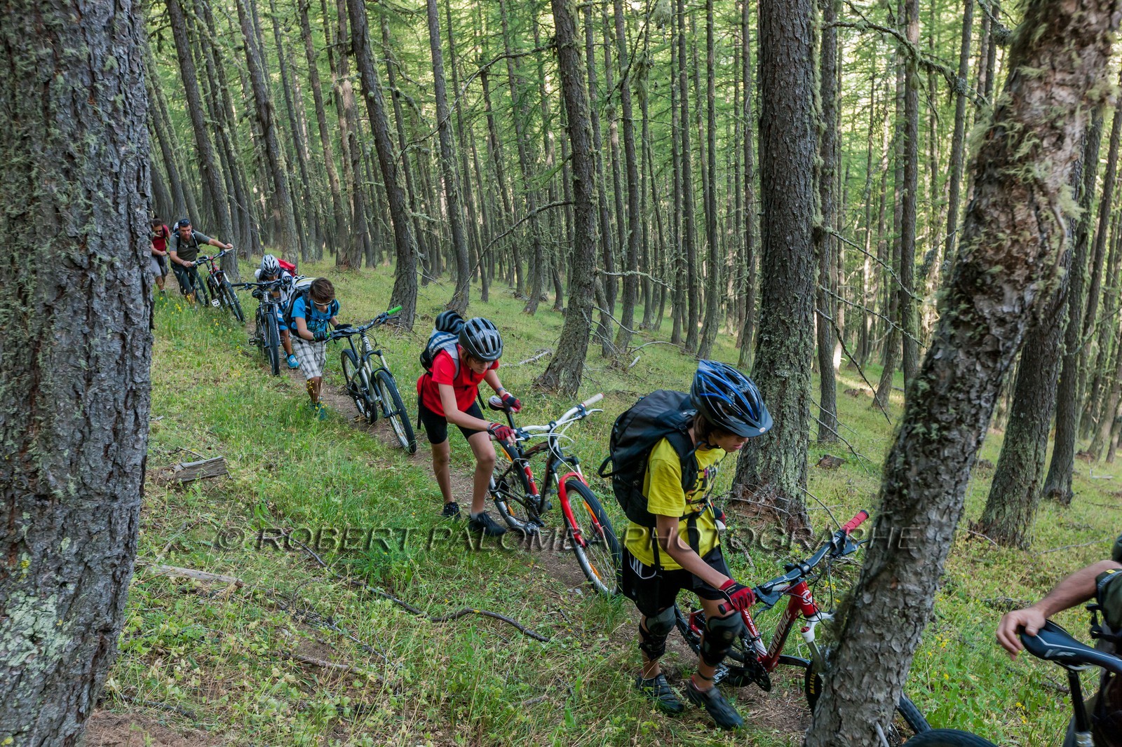 Rando Vtt Lacs de Lignin Rando Vtt Lacs de Lignin