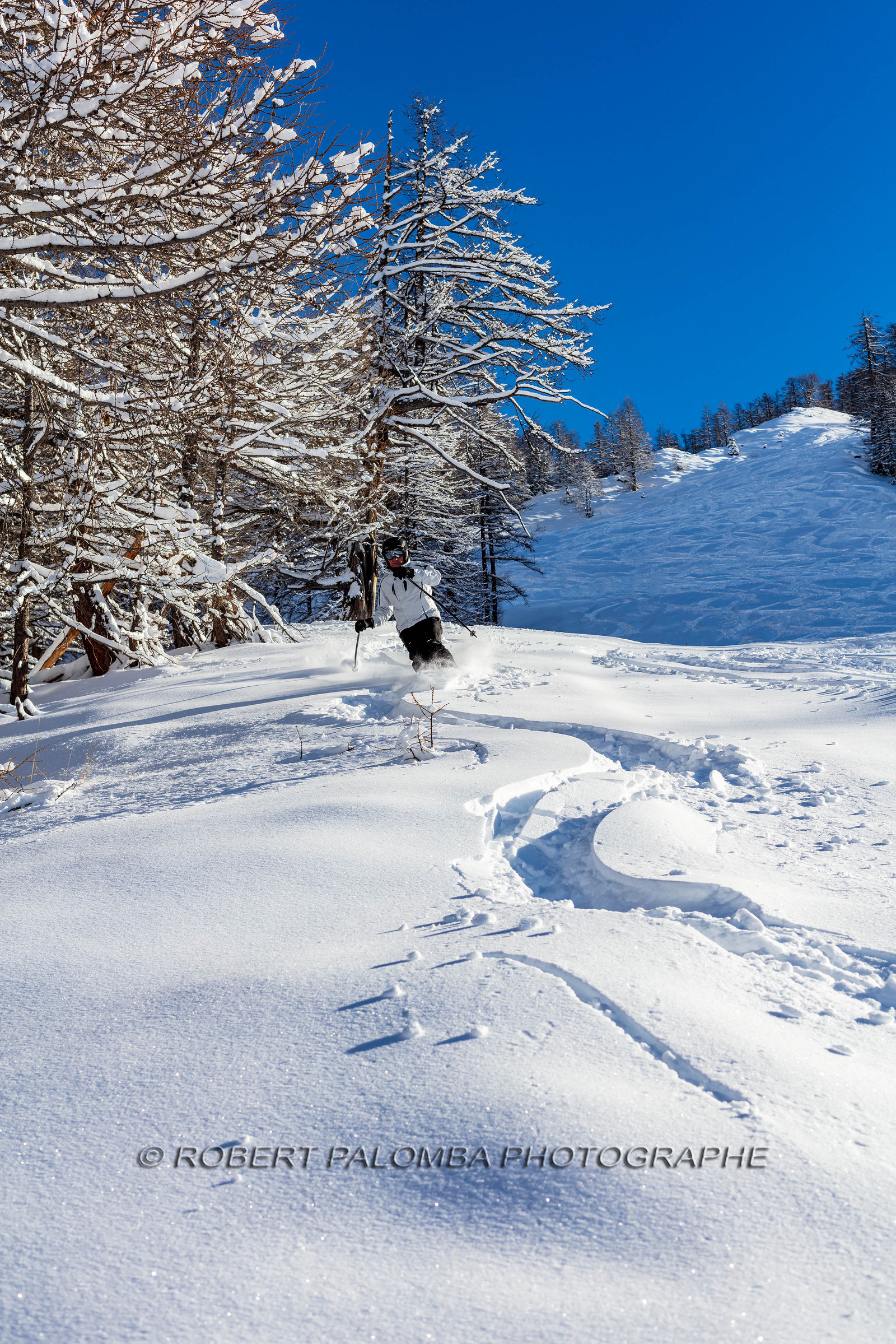 Auron
