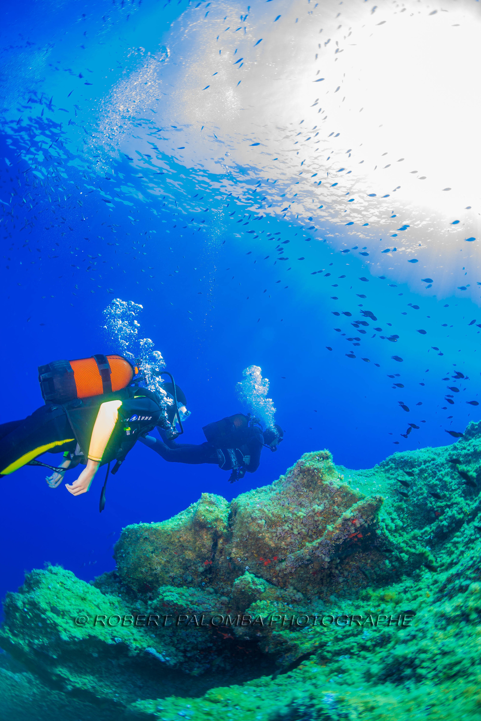 Plongée-sous-marine