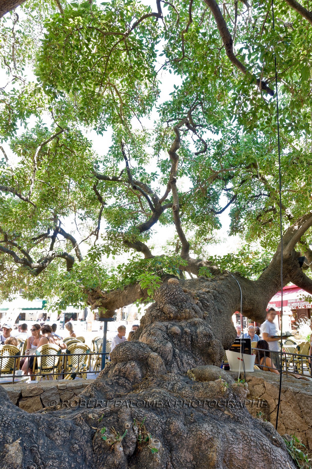 Porto Vecchio