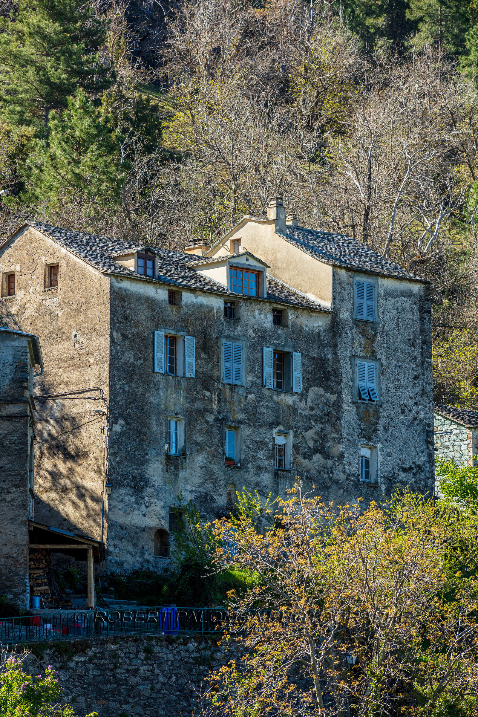 Saliceto