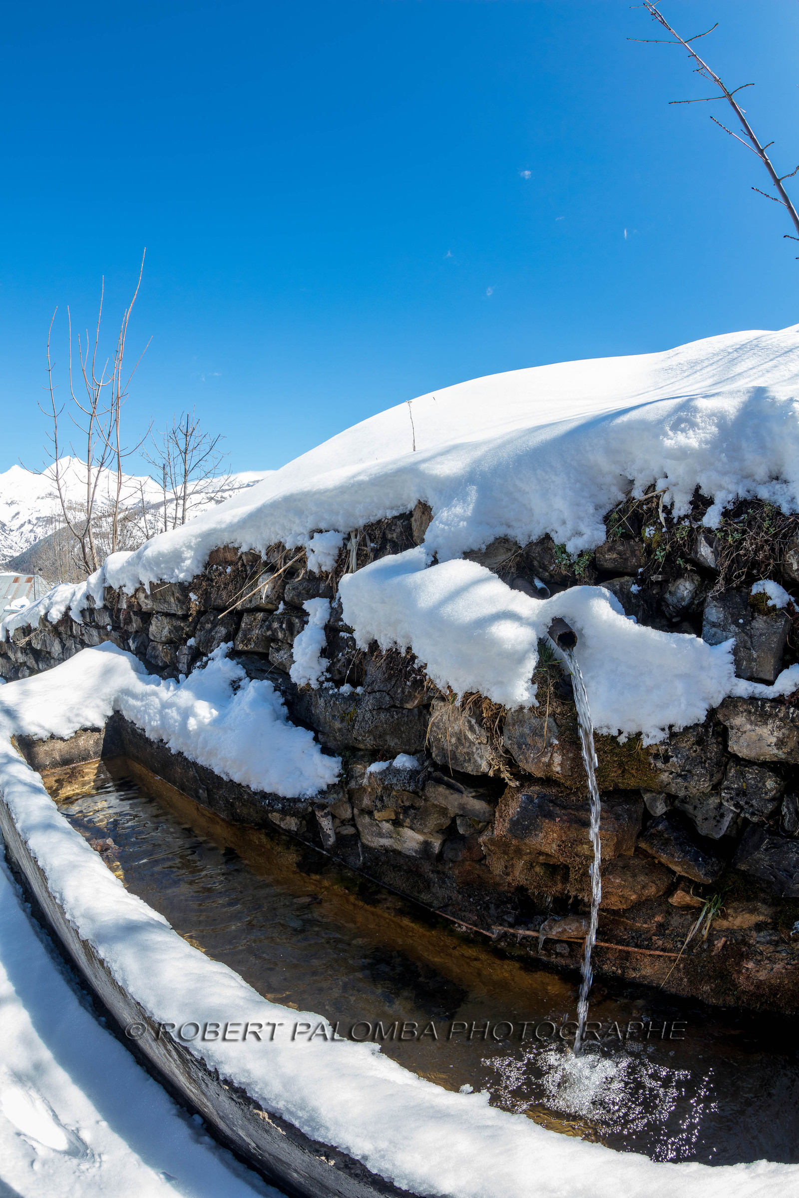 Le Seignus d'Allos