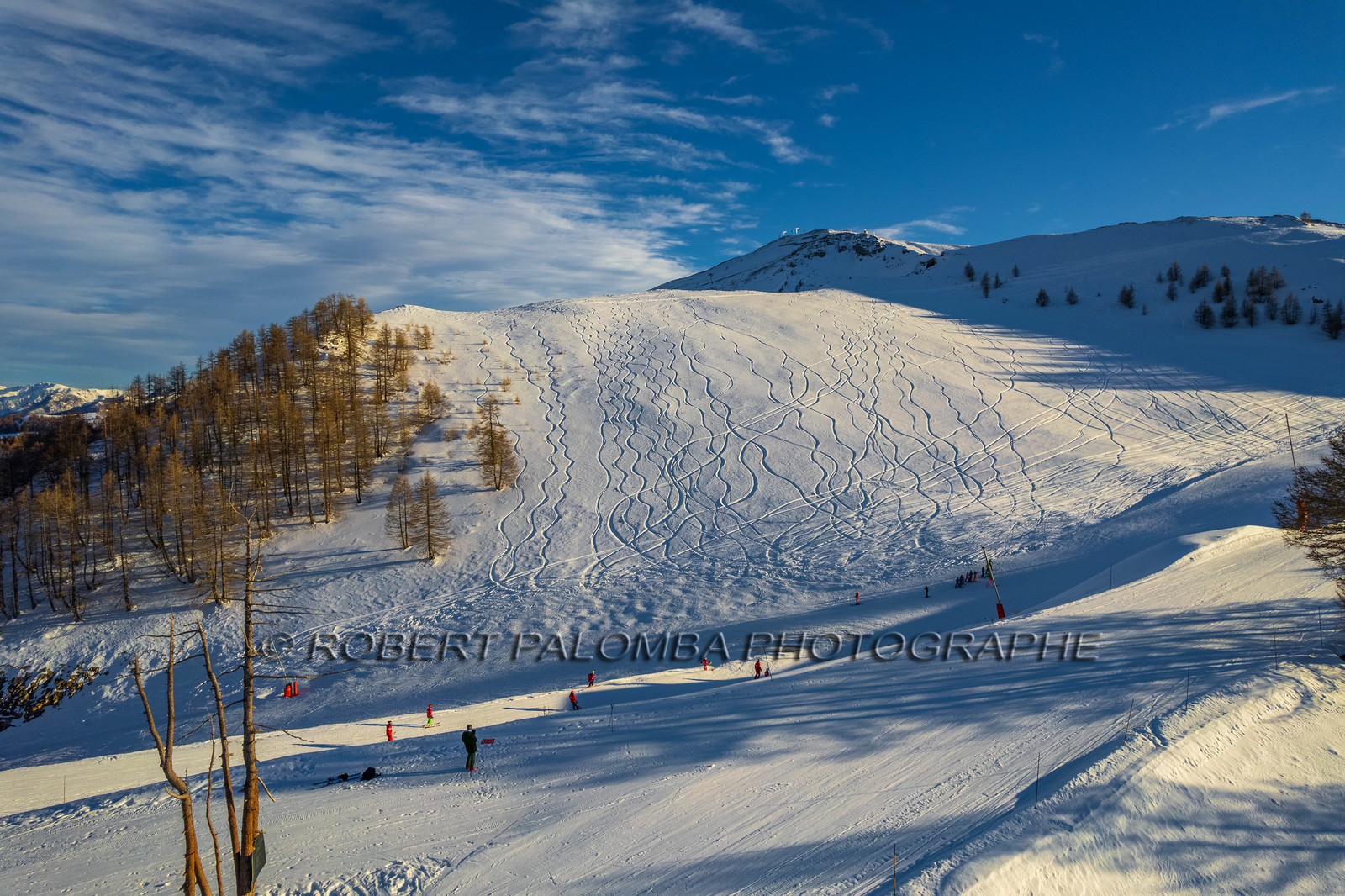 Auron