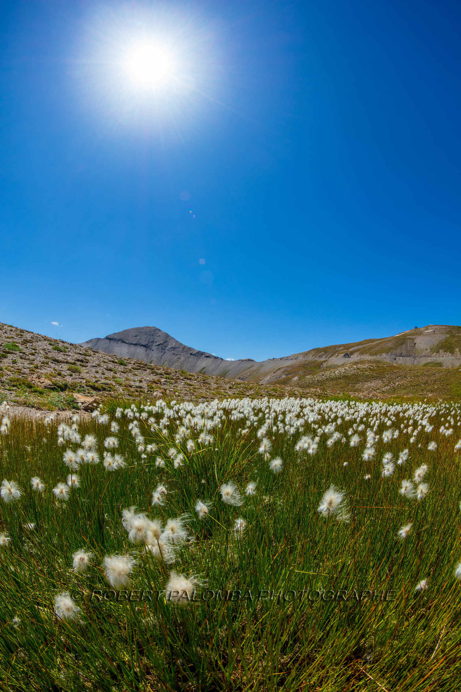 Col de la Bonette