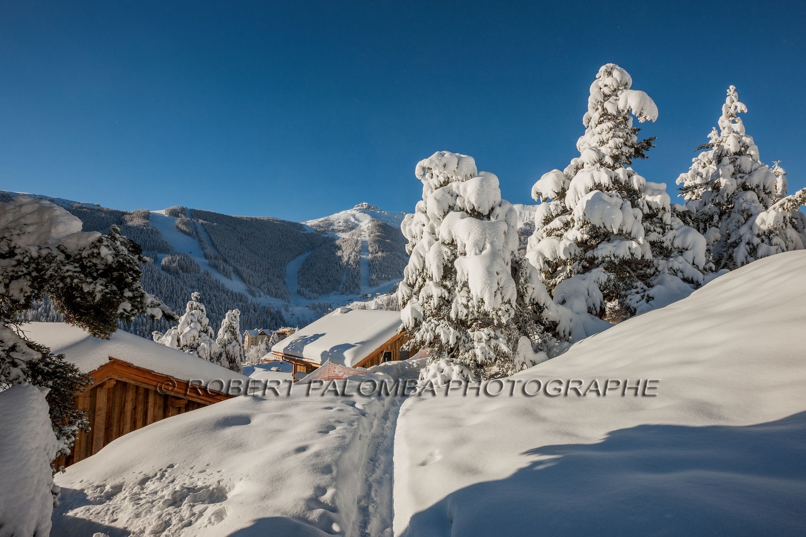 Auron