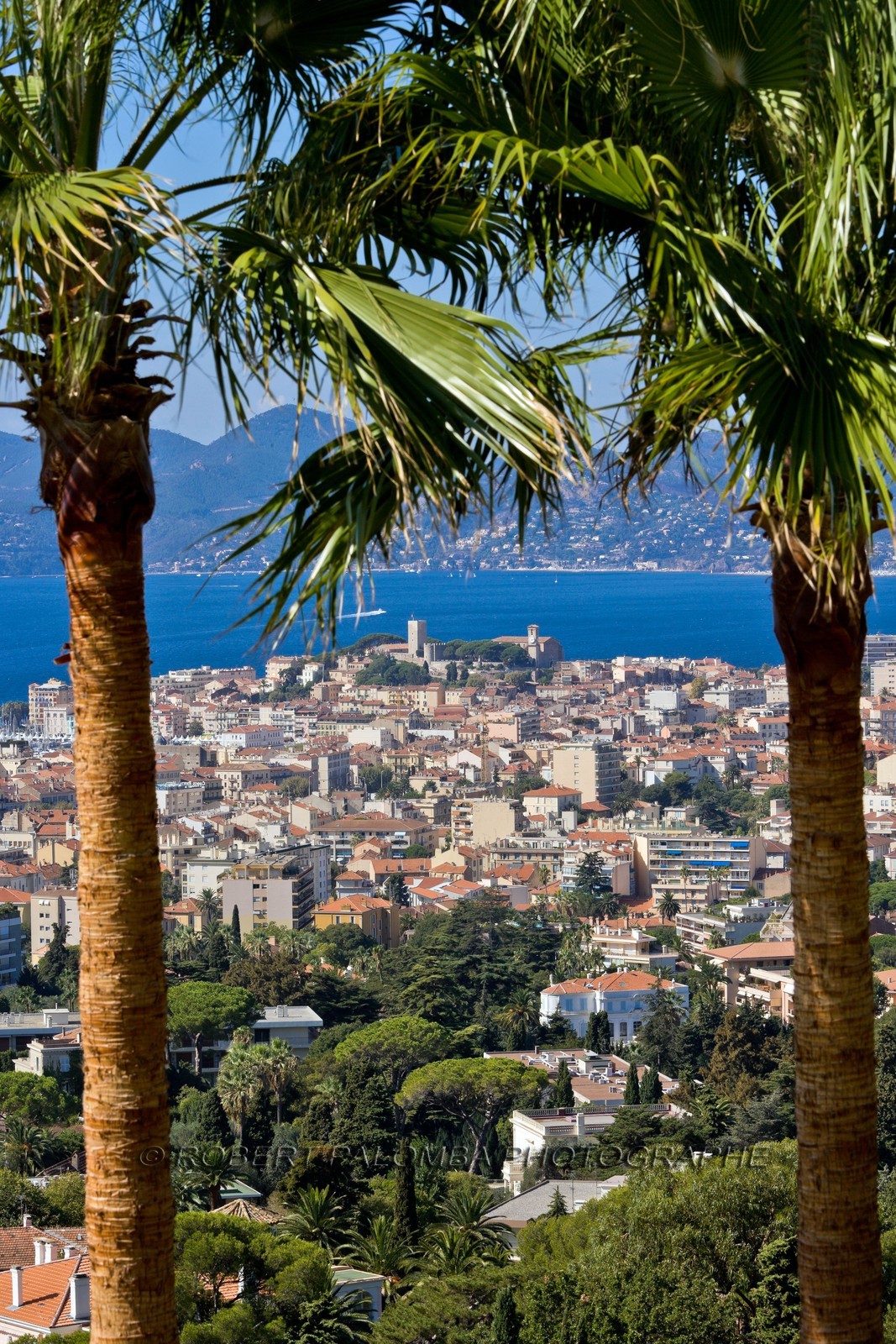 Cannes